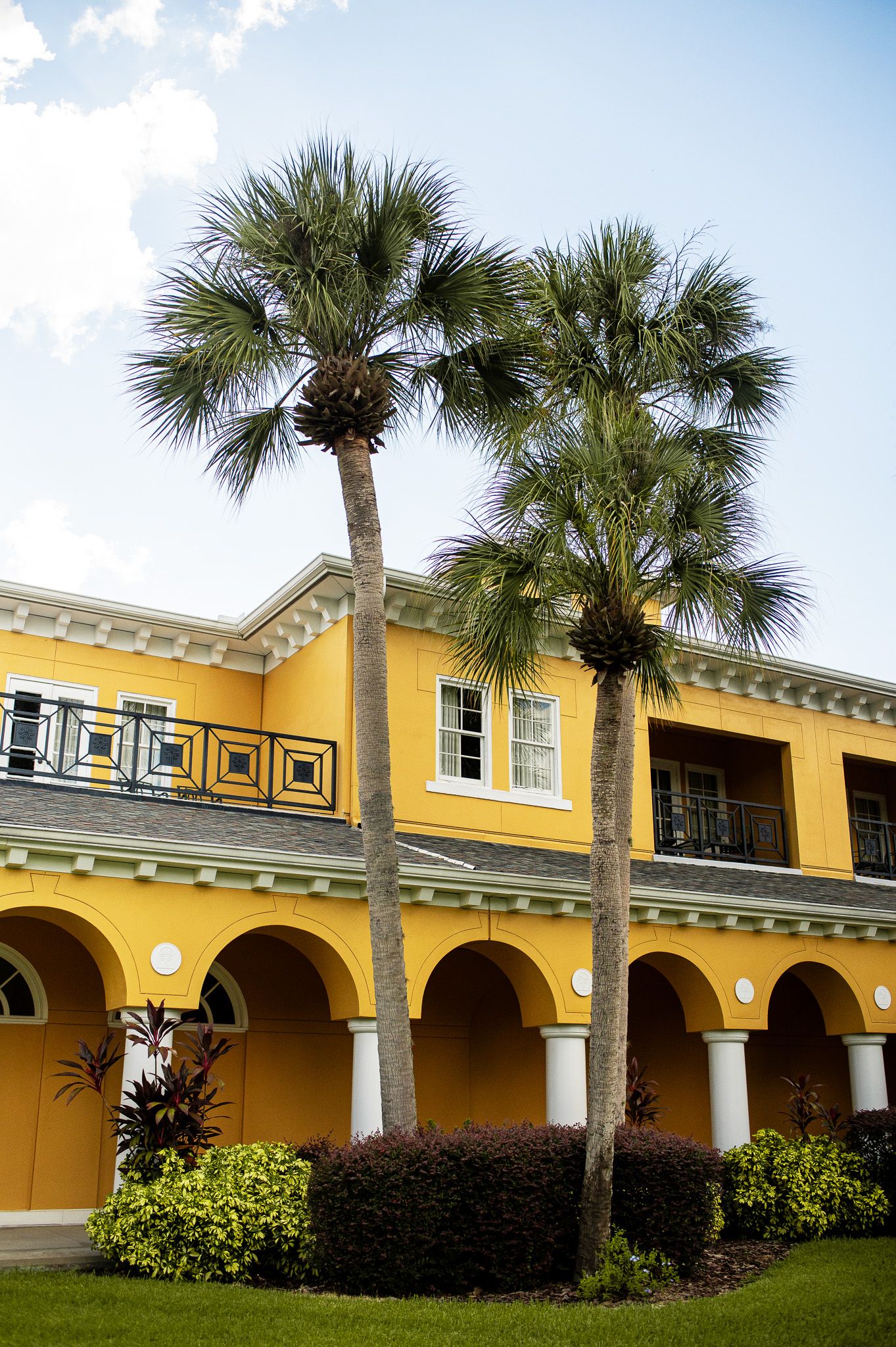 Tampa palms country club wedding Tampa Florida wedding photographer reception