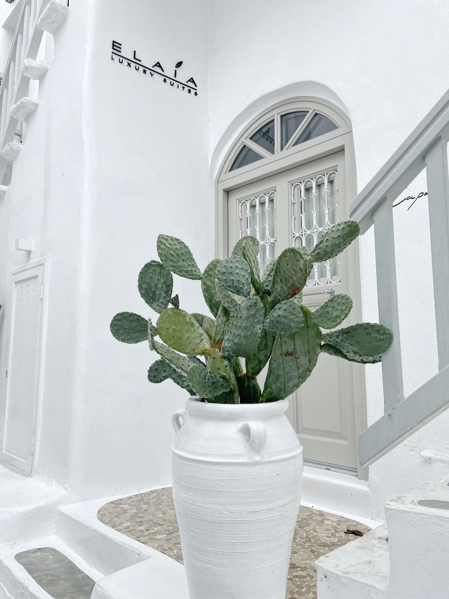 Three white ceramic planters with green cactus plants arranged in a bright minimalist interior setting.