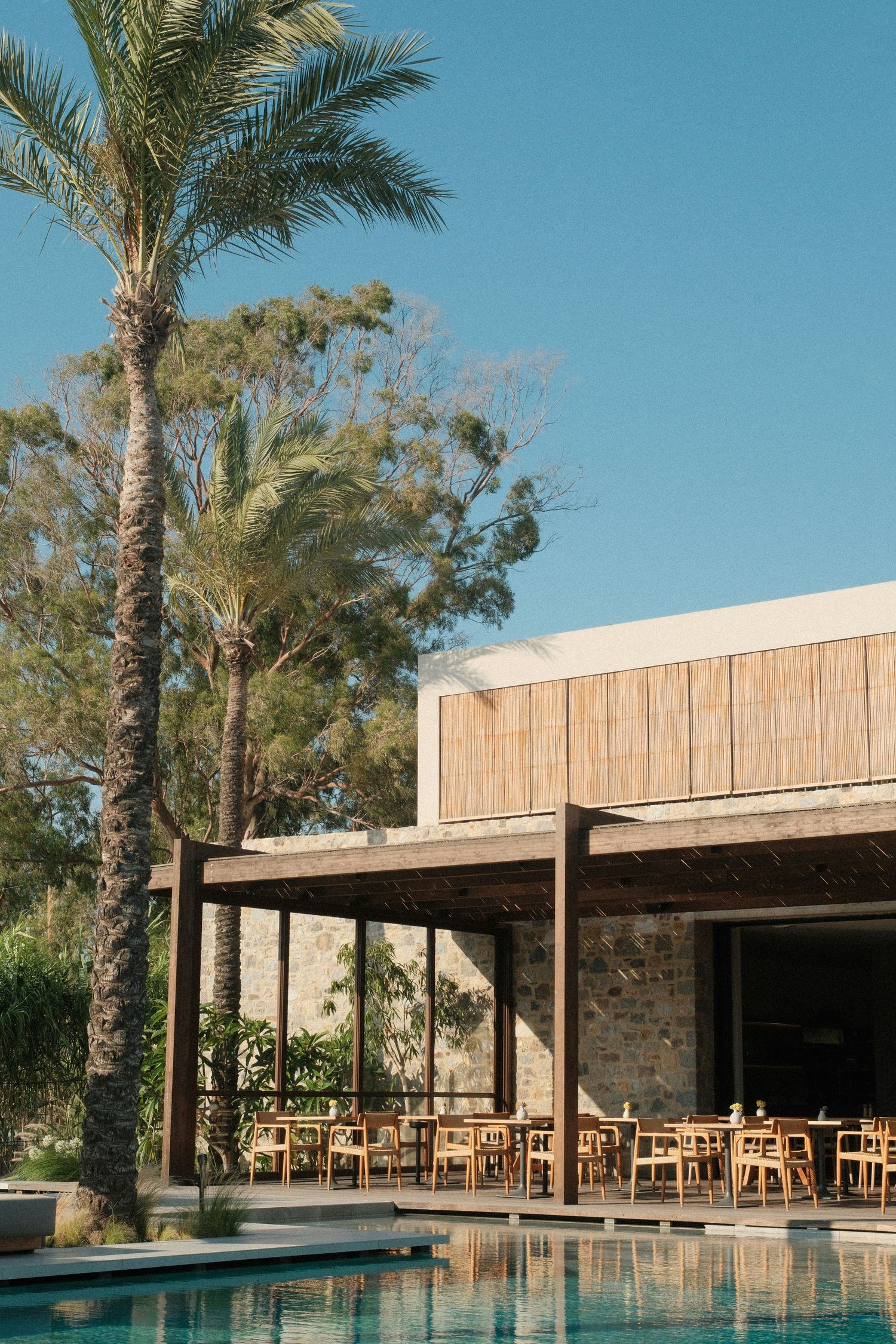 Modern poolside restaurant with wooden pergola, stone walls, and swaying palm trees against a bright blue sky.