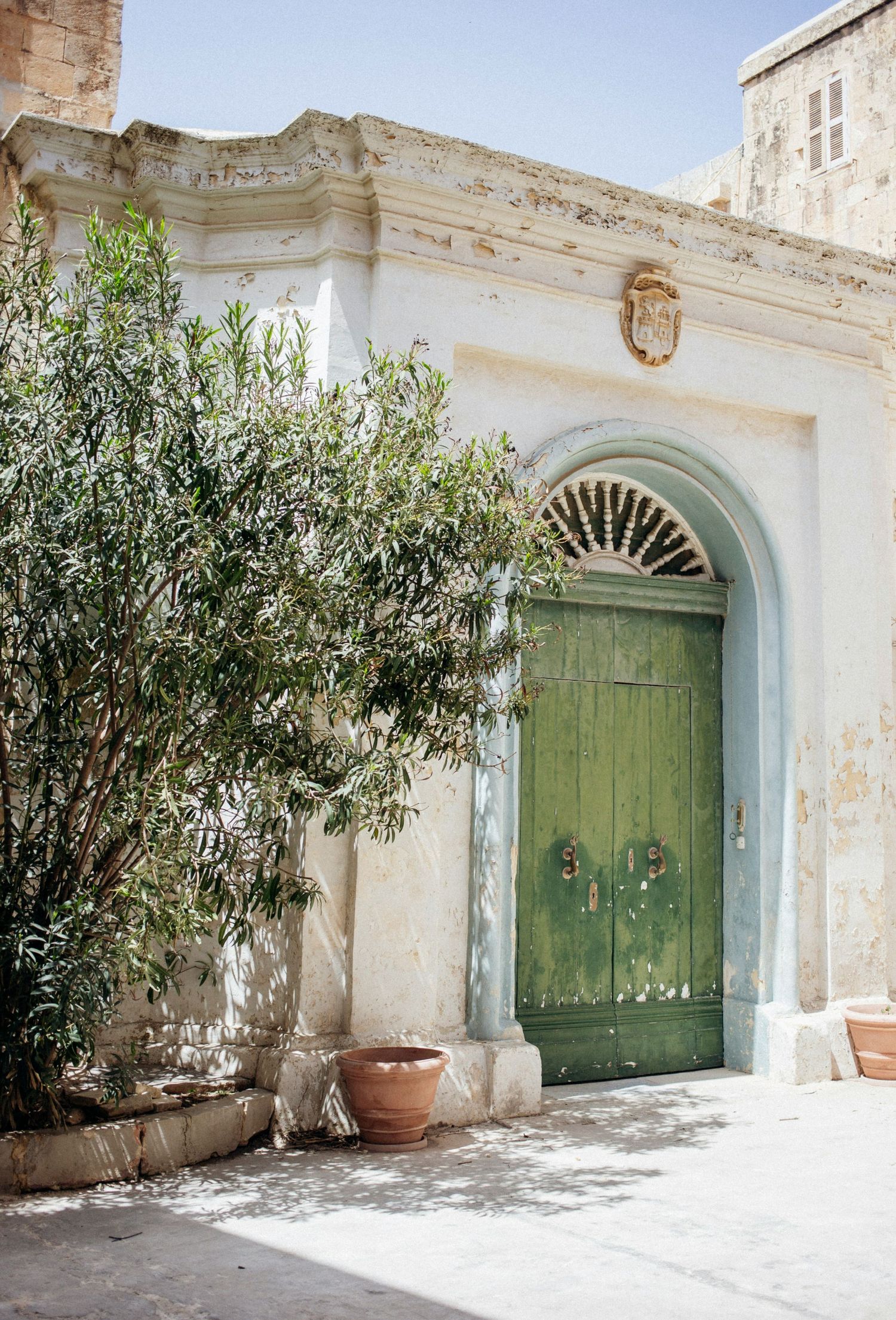 A series of rustic Mediterranean doorways with green wooden doors, white walls, and potted olive trees creating a charming facade.
