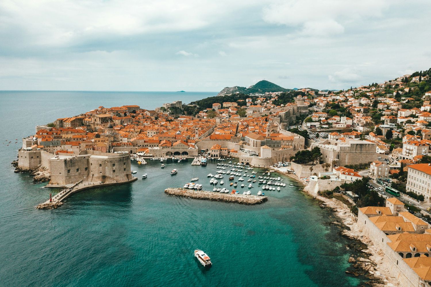 Mediterranean Chief Marketing Officer