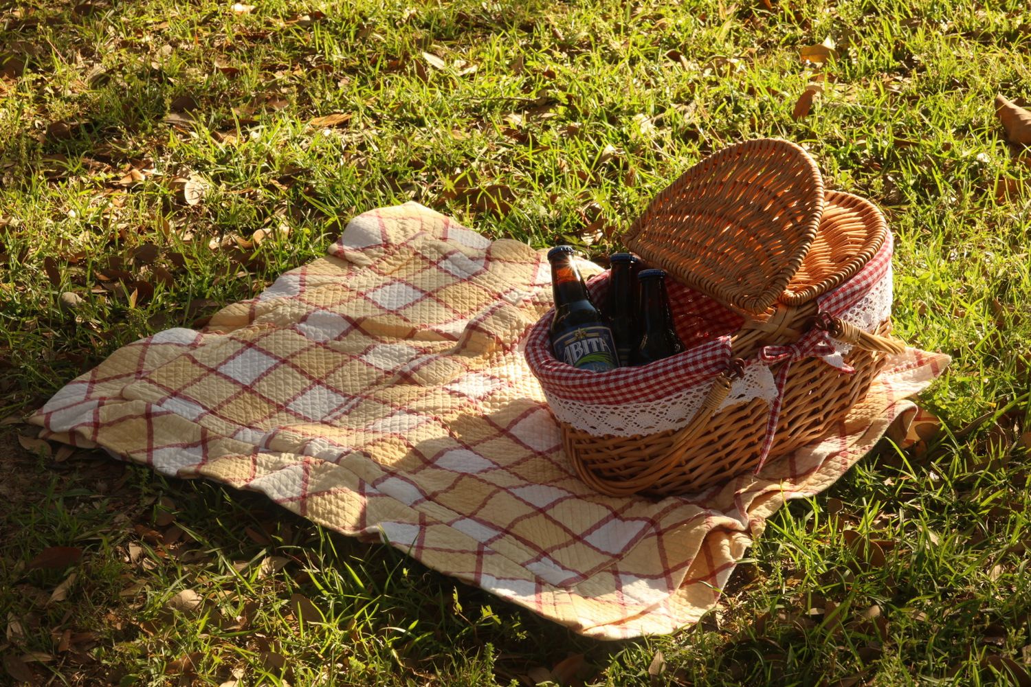 A cinematic picnic