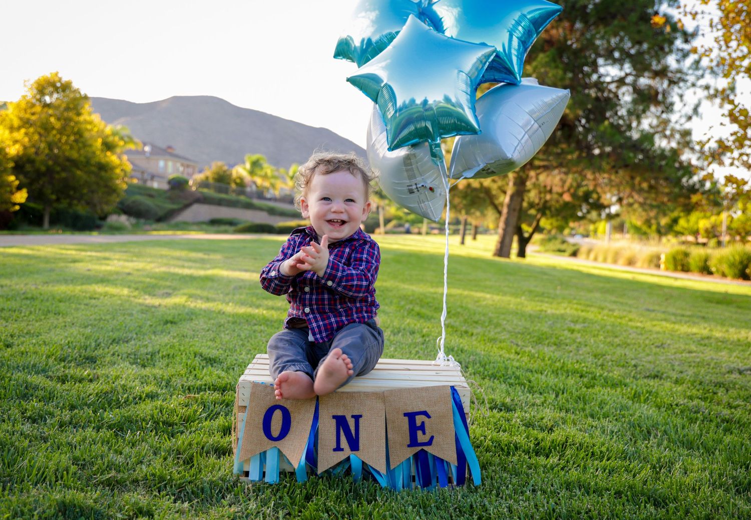 First birthday milestone photoshoot in a grassy field at sunset with blue birthday decorations and balloons.