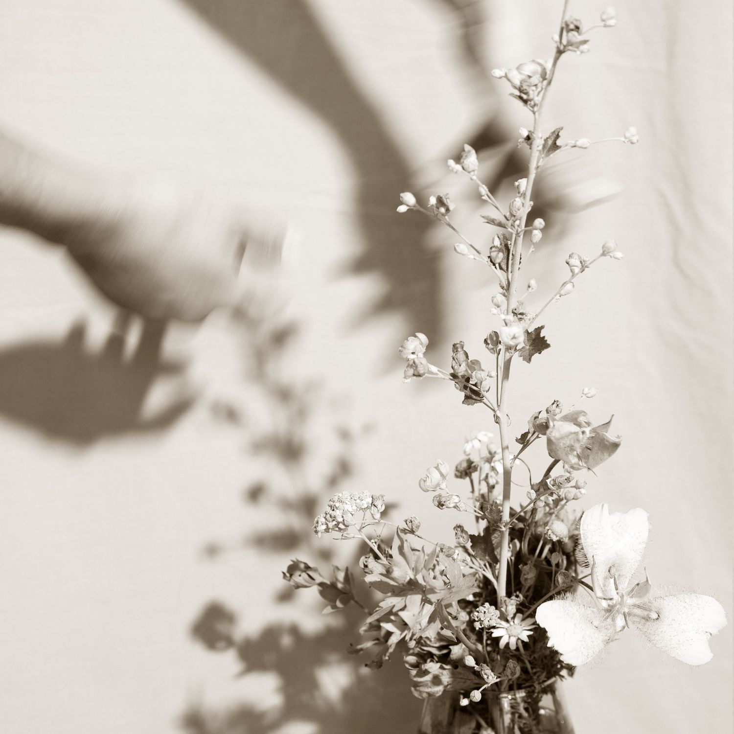 black and white film photograph of hands adjusting bouquet of flowers