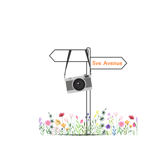 Minimalist line art showing camera equipment and flowers in a garden scene.