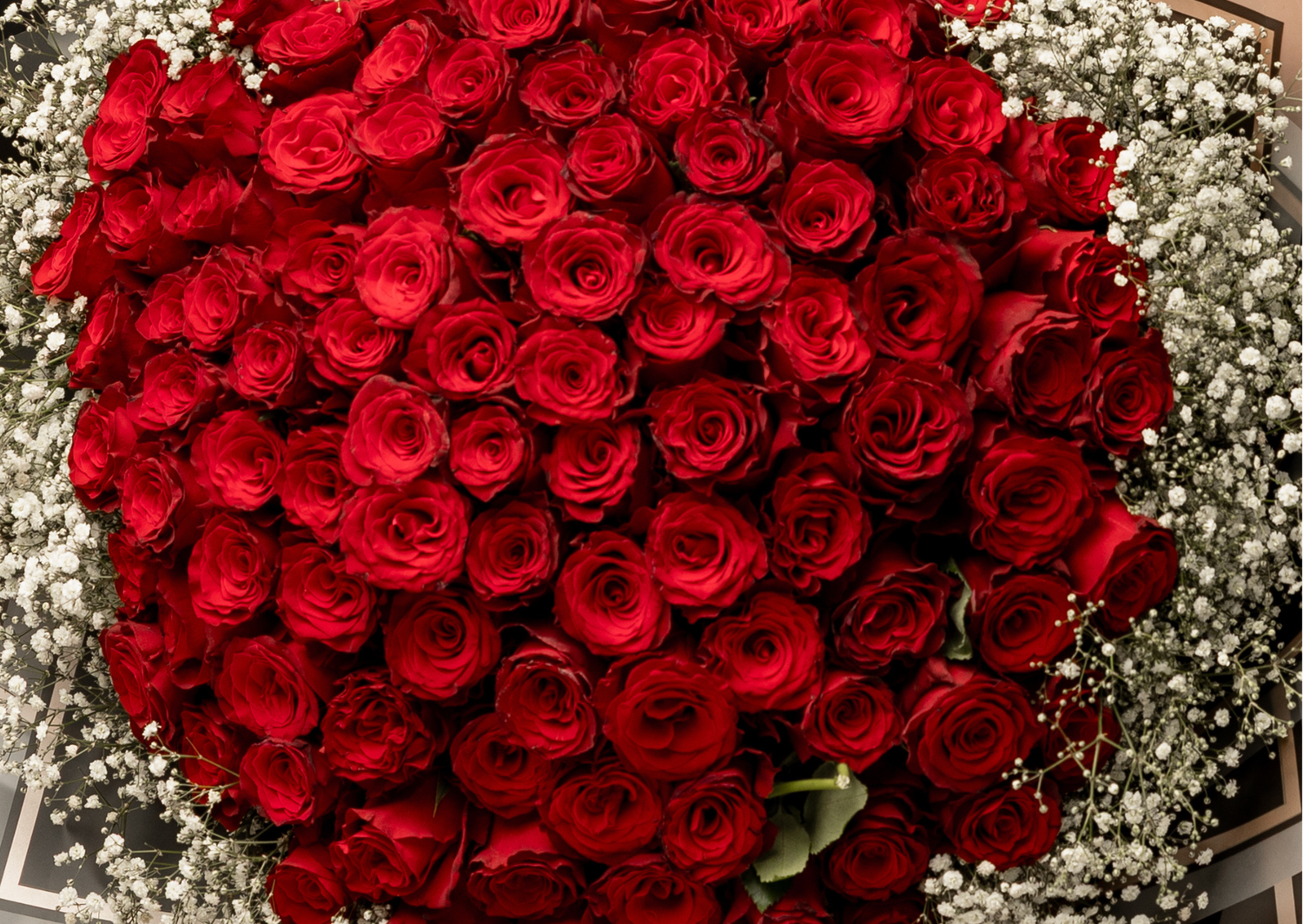 A stunning bouquet of vibrant red roses accented with delicate white baby's breath flowers against a dark background.