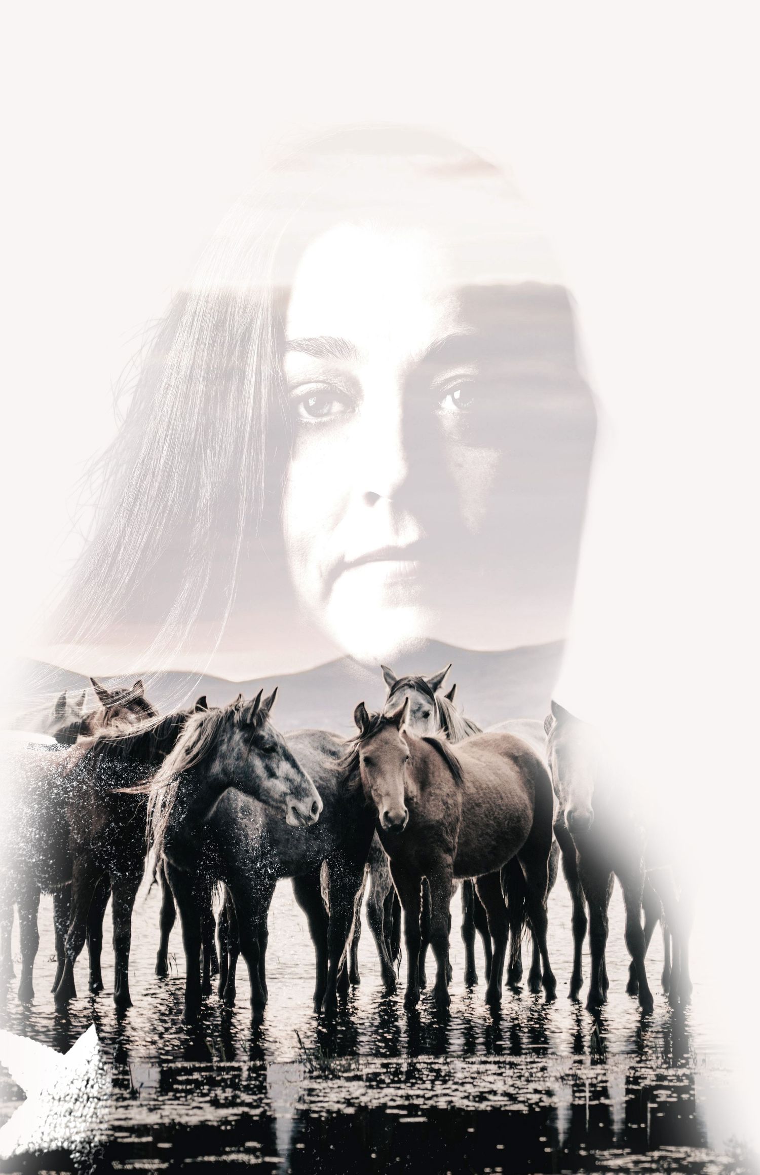 Artistic double exposure portrait of woman blended with herd of dark horses standing in water.