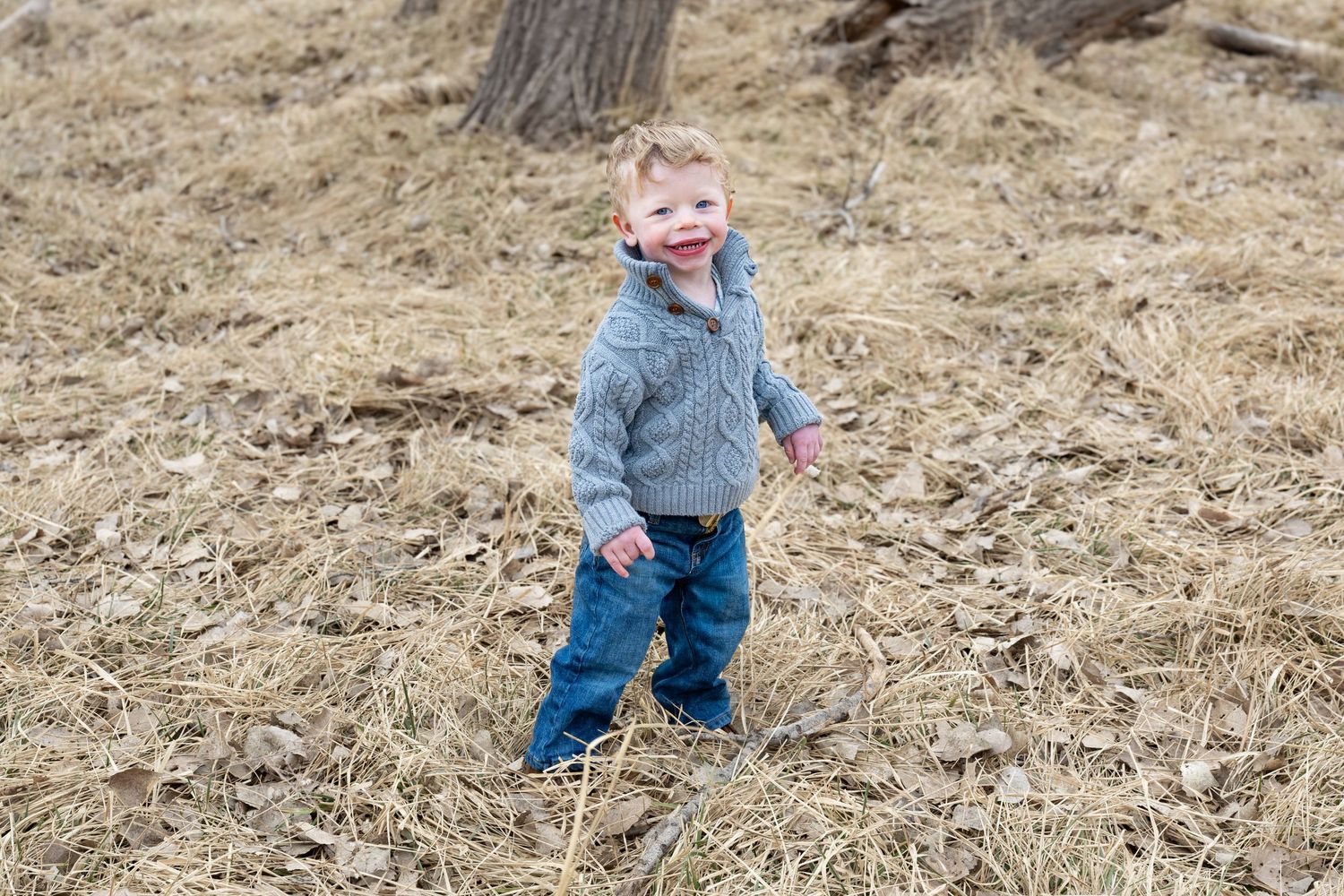 Happy laughing toddler boy in gray jacket standing on dry grass in wooded outdoor setting.
