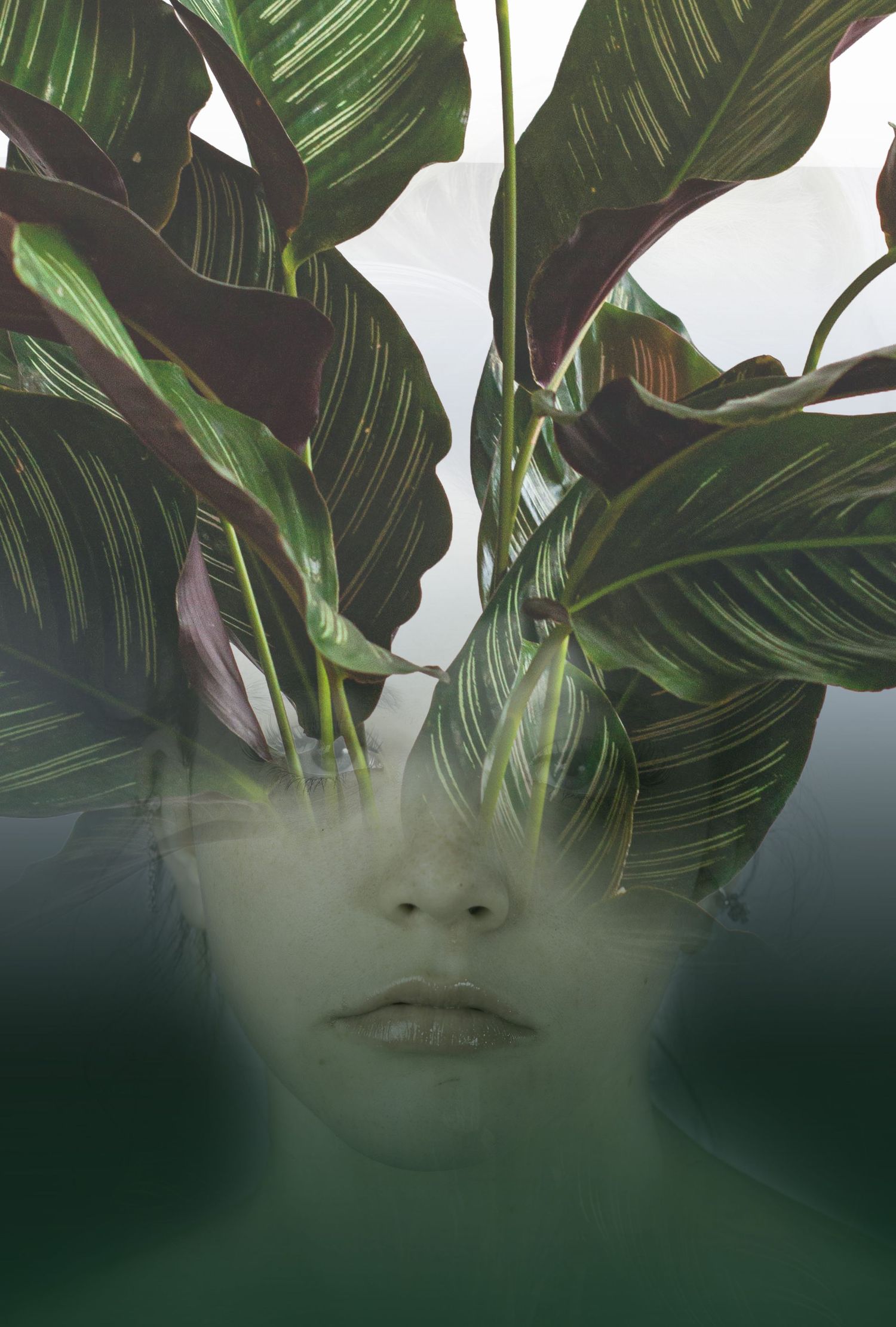 Artistic double exposure portrait of a persons face merging with large tropical green leaves.