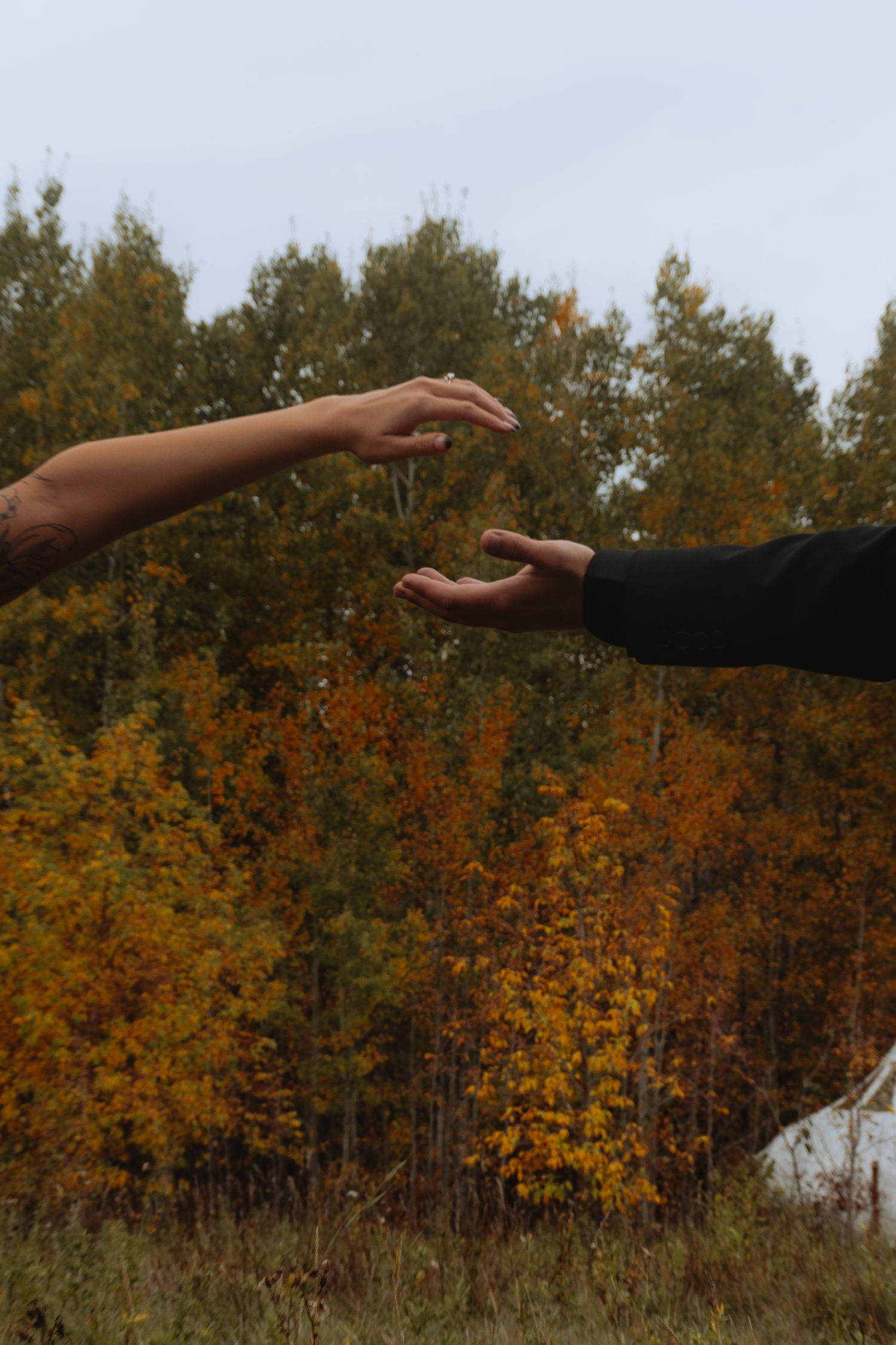Two hands reaching toward each other against colorful autumn foliage background.