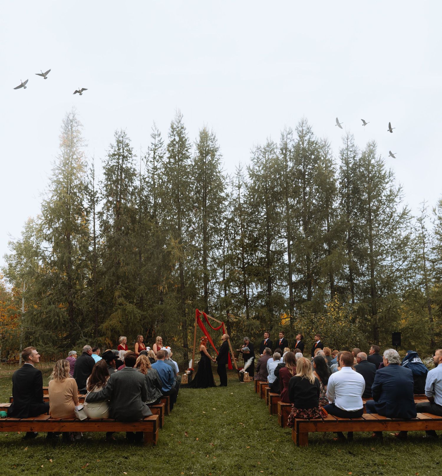Outdoor wedding ceremony in a forest clearing with guests seated on wooden benches and birds flying overhead in Winnipeg