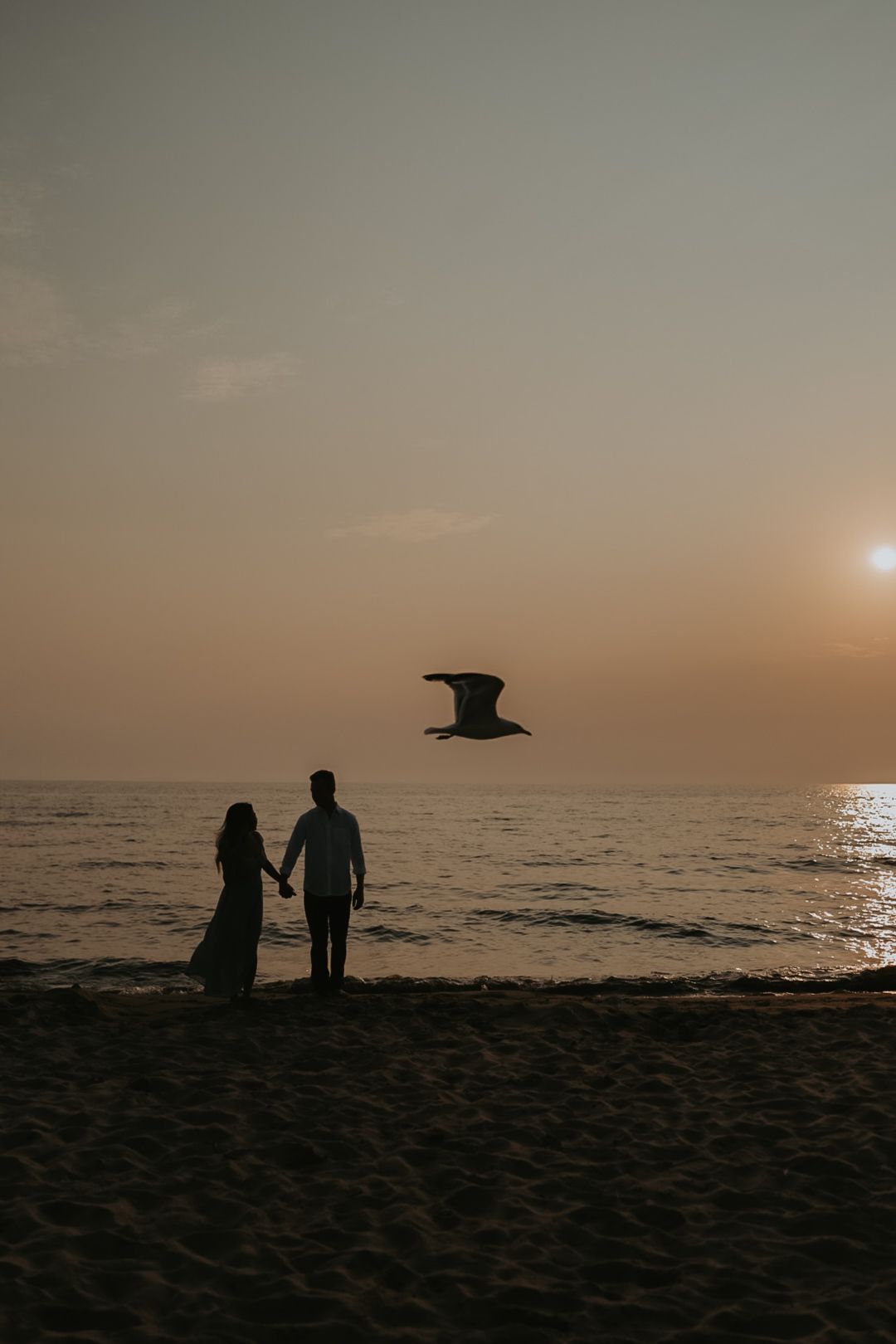 Silhouettes of people walking along a beach at sunset with a bird flying overhead.
