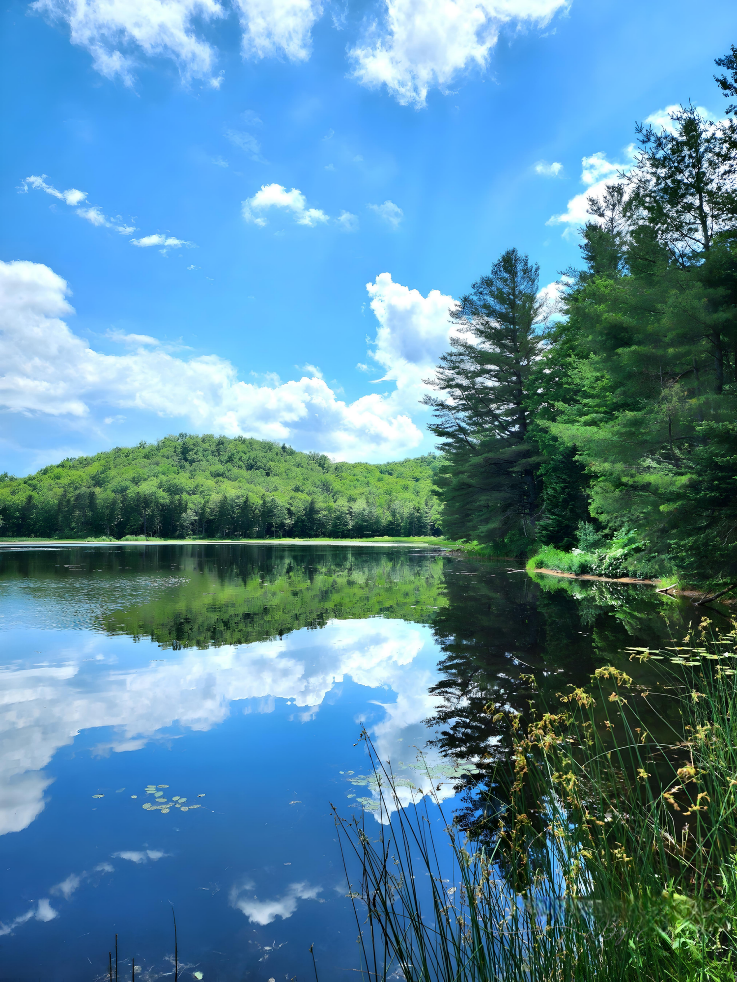 INSPIRED LIFE BY ERIN
TRACY POND