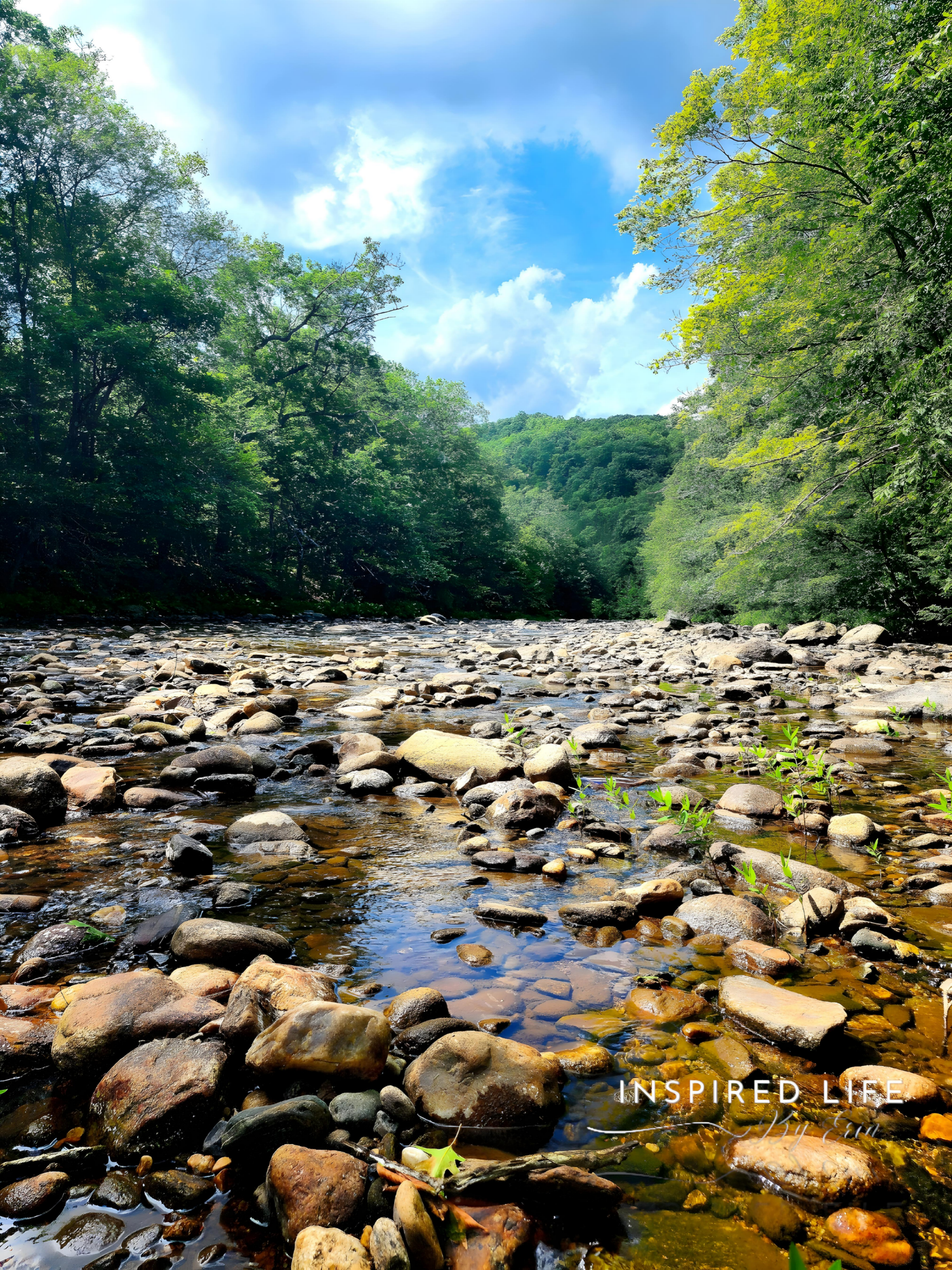 CHESTER- WESTFIELD RIVER
INSPIRED LIFE BY ERIN