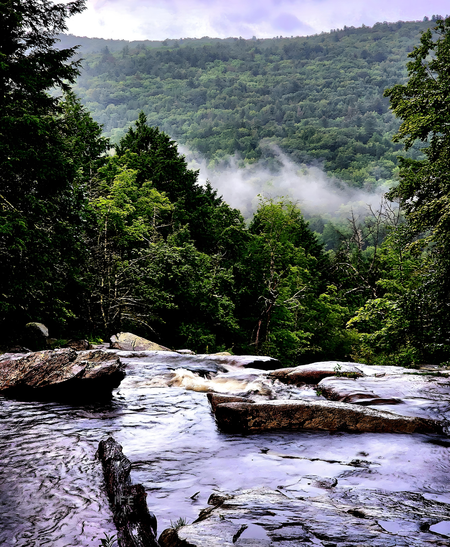 INSPIRED LIFE BY ERIN
GLENDALE FALLS