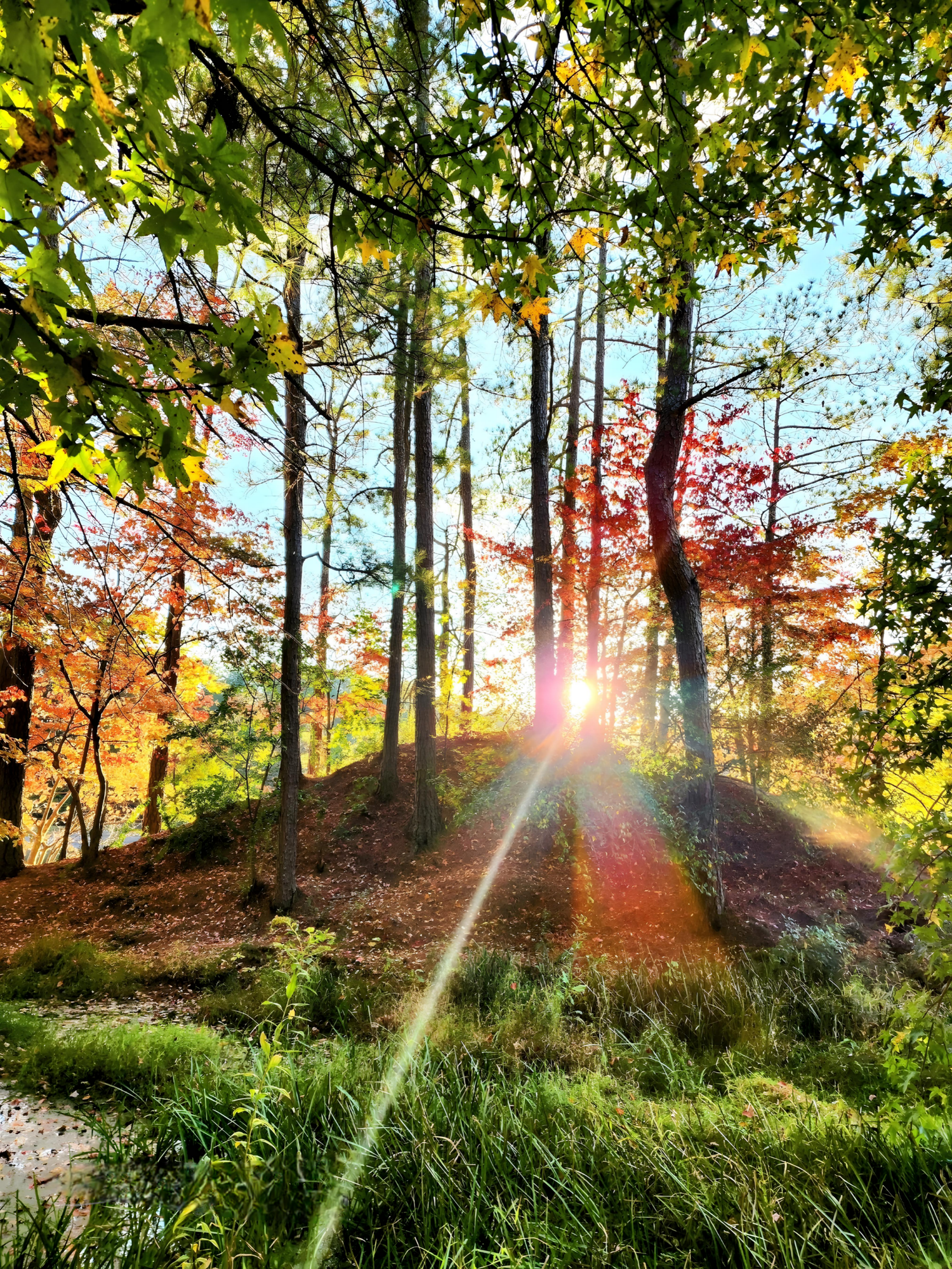 INSPIRED LIFE BY ERIN
GRUNDY LAKES