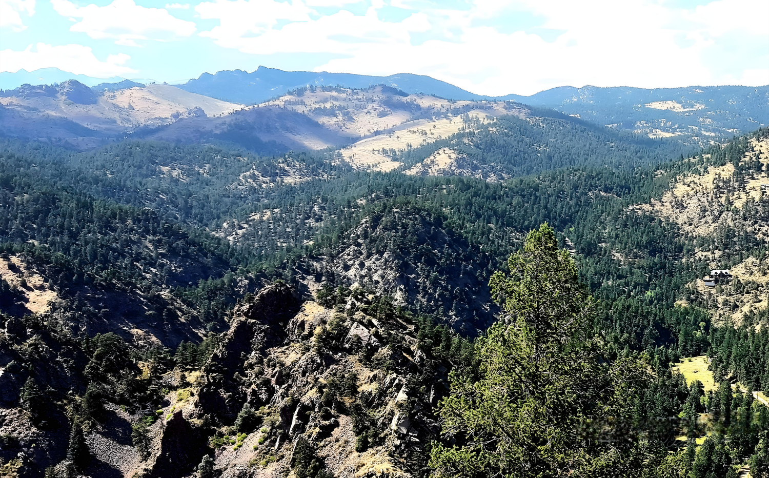 INSPIRED LIFE BY ERIN
COLORADO