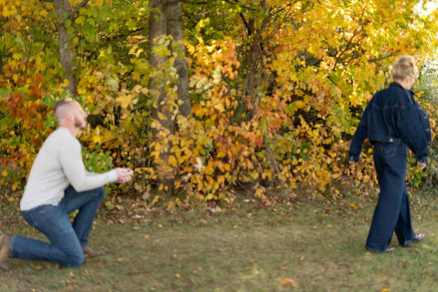 Series of candid moments between a couple in a park with golden fall leaves.