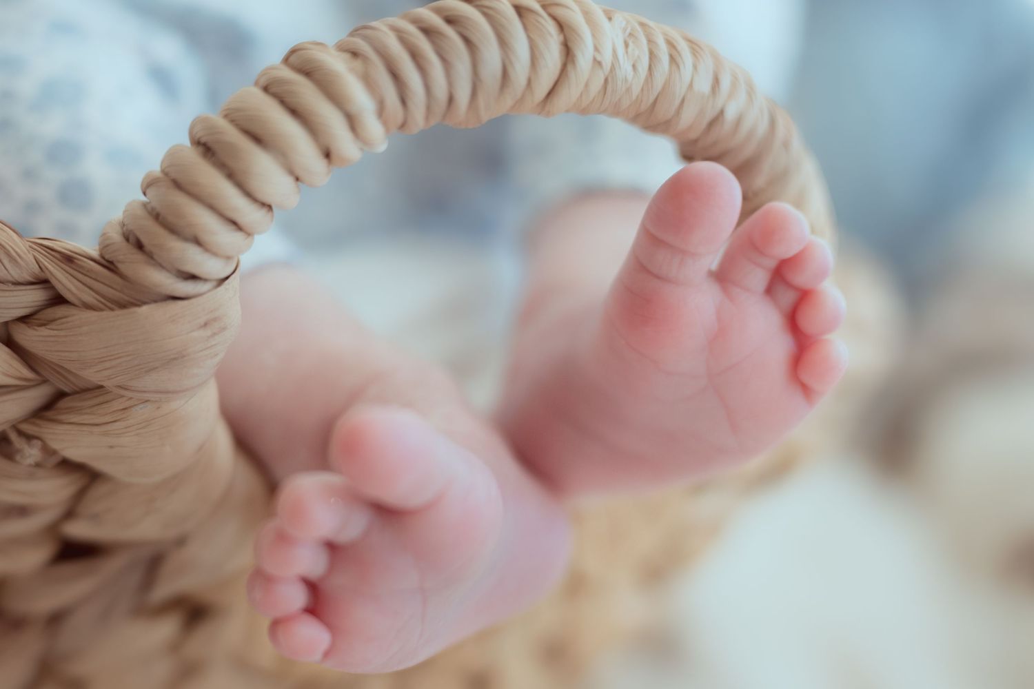 A series of close-up photos showing tiny baby feet and toes in soft natural lighting.