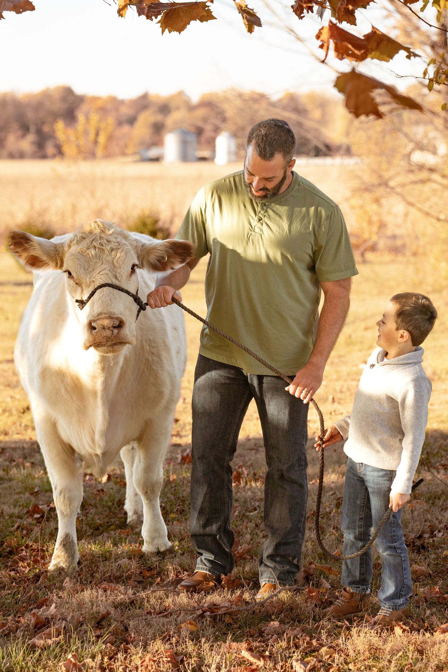 Family interacting with white cow in rustic autumn field setting.