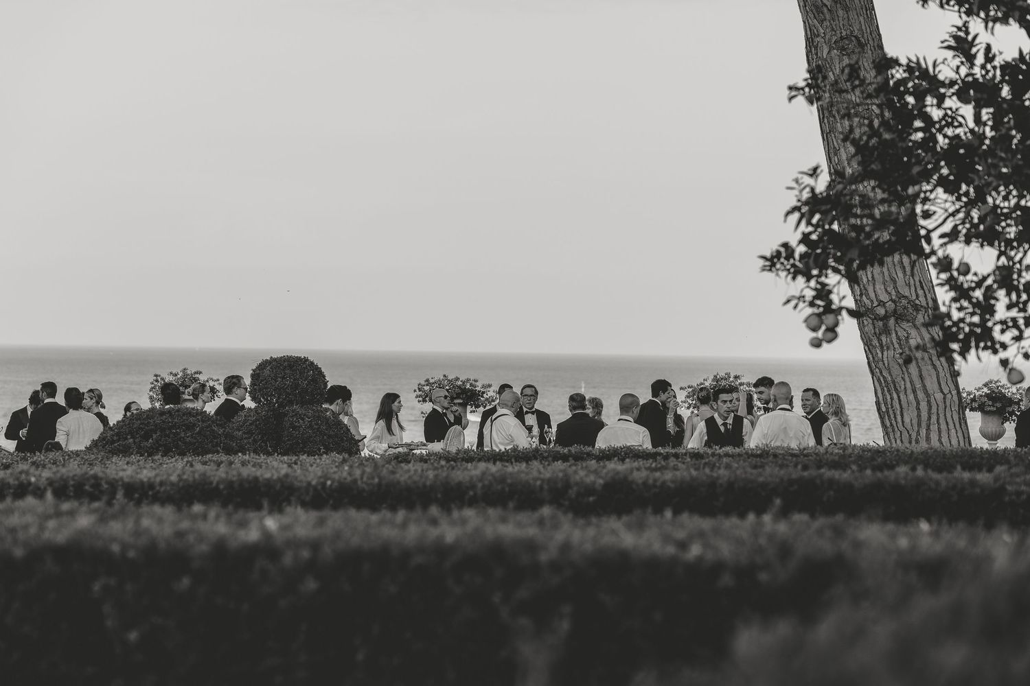 Silhouetted wedding guests gathered on hilltop during sunset celebration.