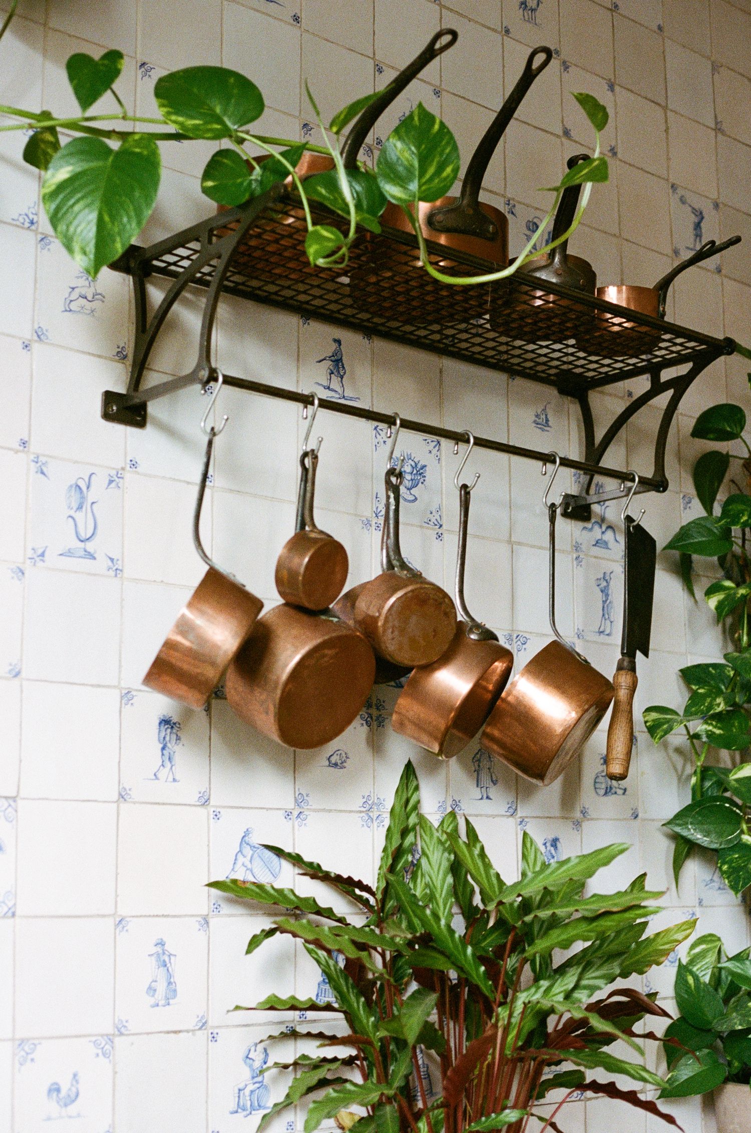 Copper pots and pans hanging on white tiled wall with green plants.