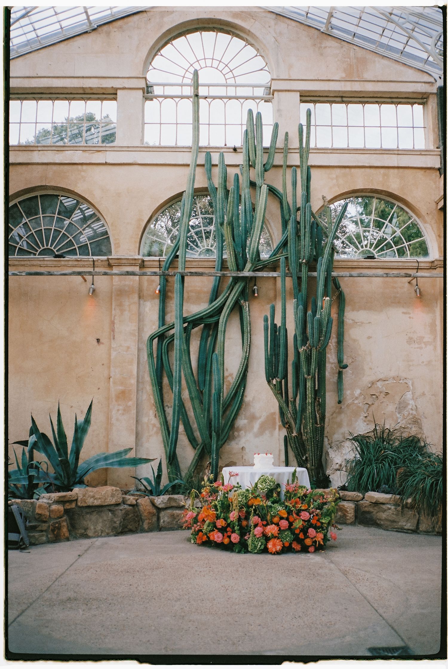 Large cacti and orange flowers decorate a conservatory with arched windows and natural light.