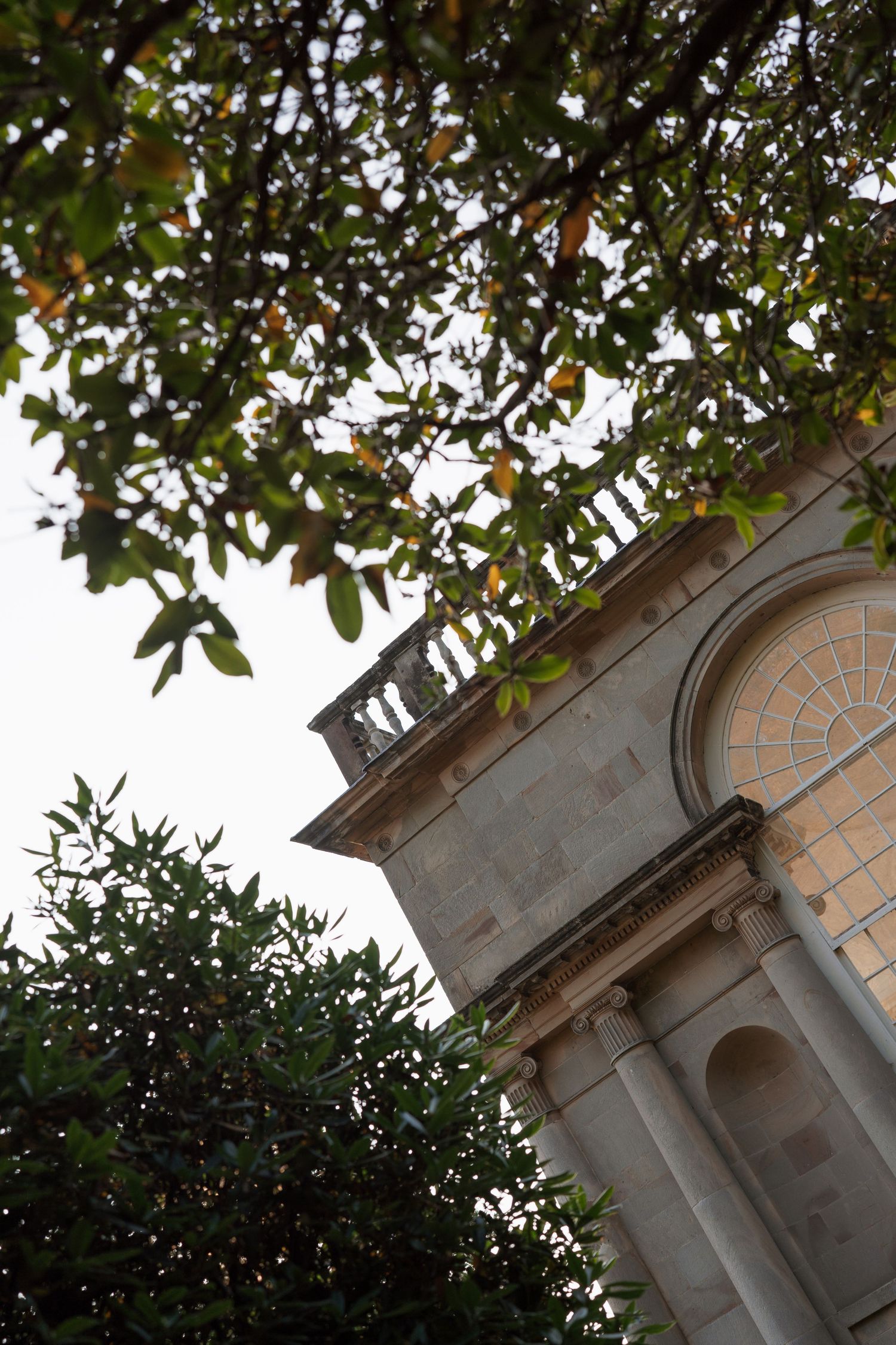 Architectural detail of a classical building exterior with arched windows and lush green foliage overhead.