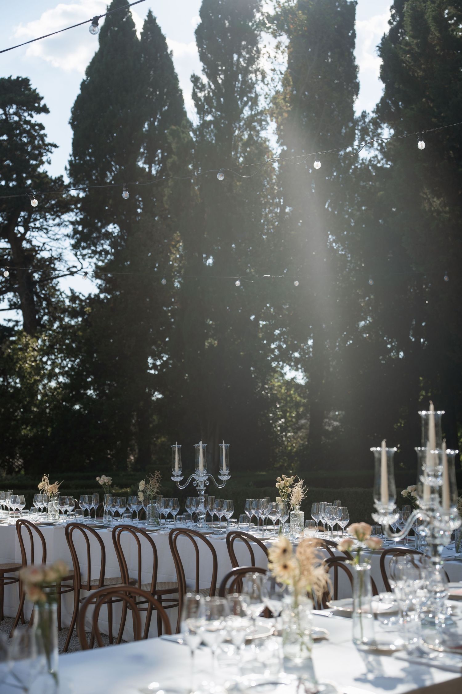 Elegant outdoor wedding reception table set with crystal glasses and candelabras, surrounded by tall cypress trees in sunlight.
