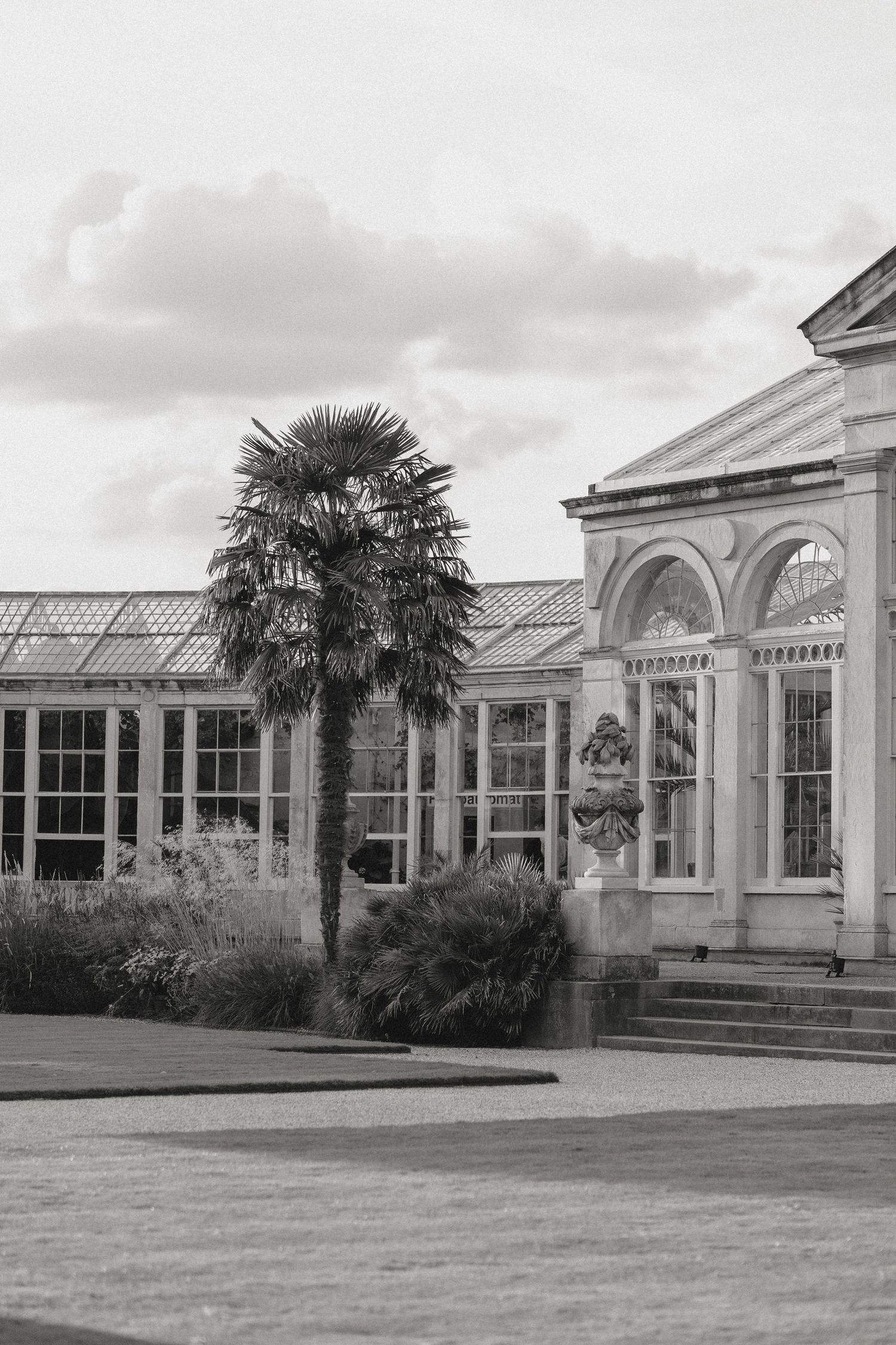 Elegant white conservatory building with glass windows and palm trees in a classical architectural style.