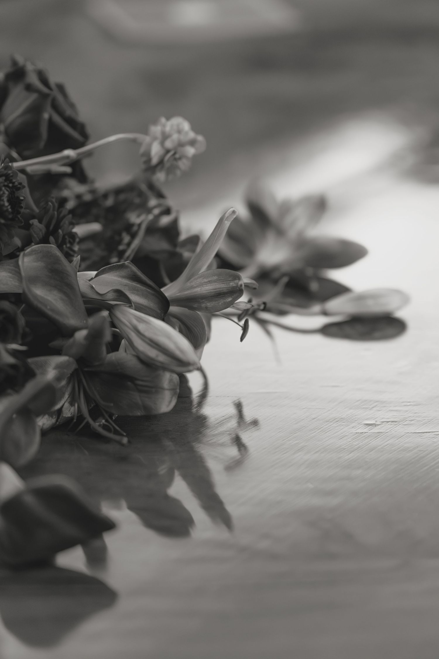 Artistic black and white close-up of wilting flowers and leaves on a reflective surface.