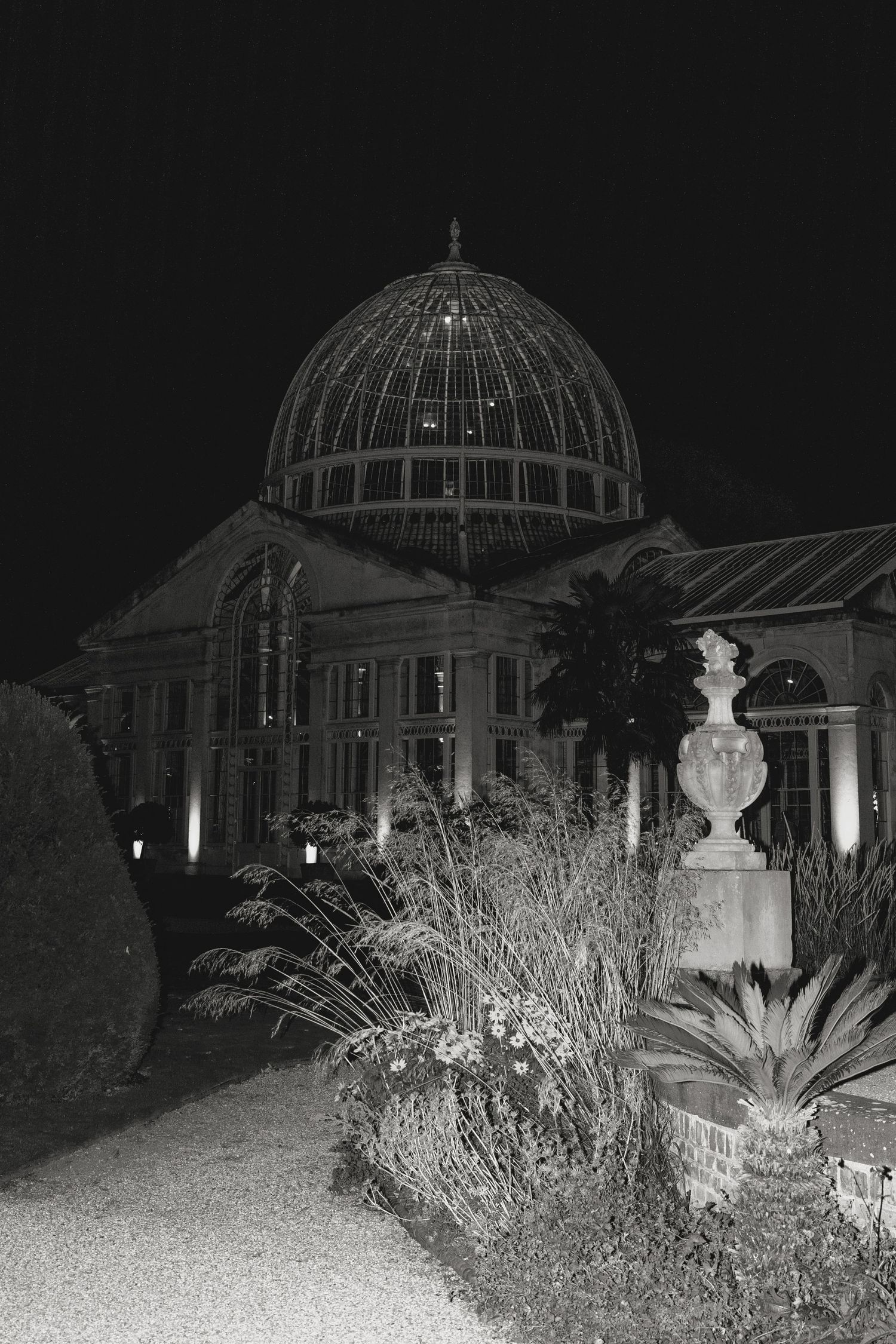 Nighttime exterior view of a domed conservatory building illuminated against a dark sky.
