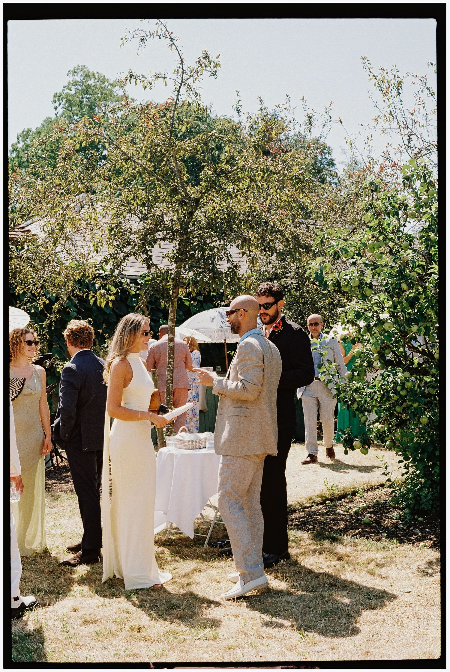 Outdoor wedding reception guests mingling in sunny garden, bride in white dress, groom in gray suit, lush green trees backdrop.