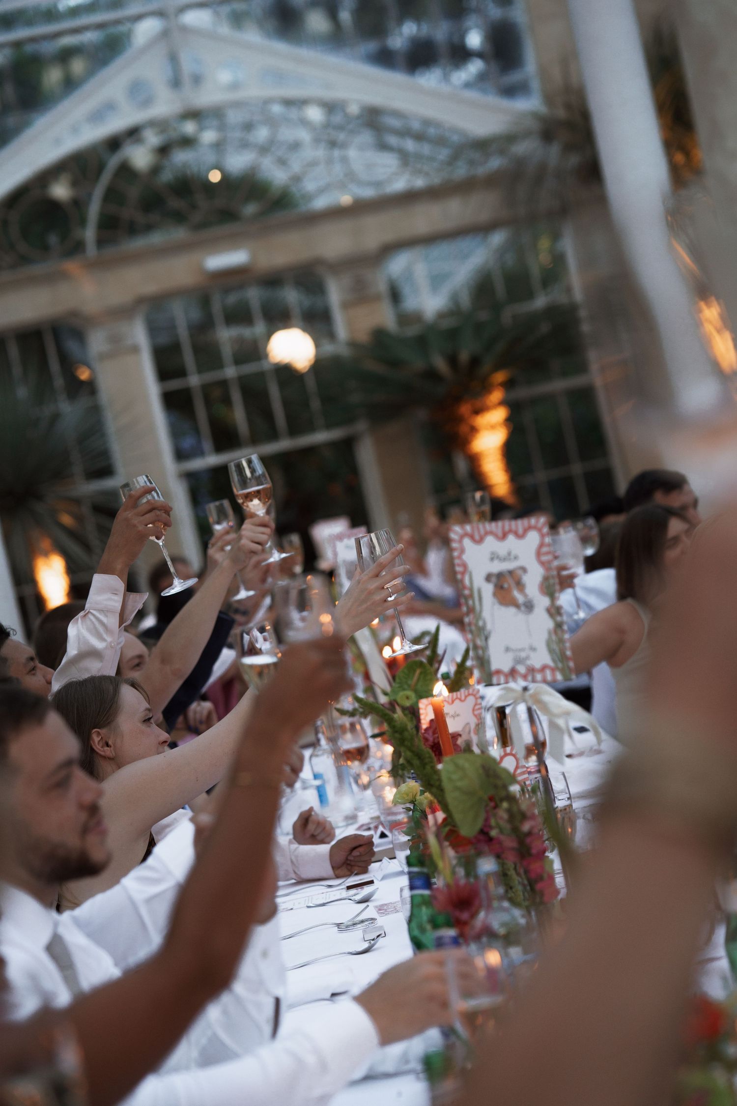 Wedding guests raising glasses for a toast in an ornate conservatory setting.