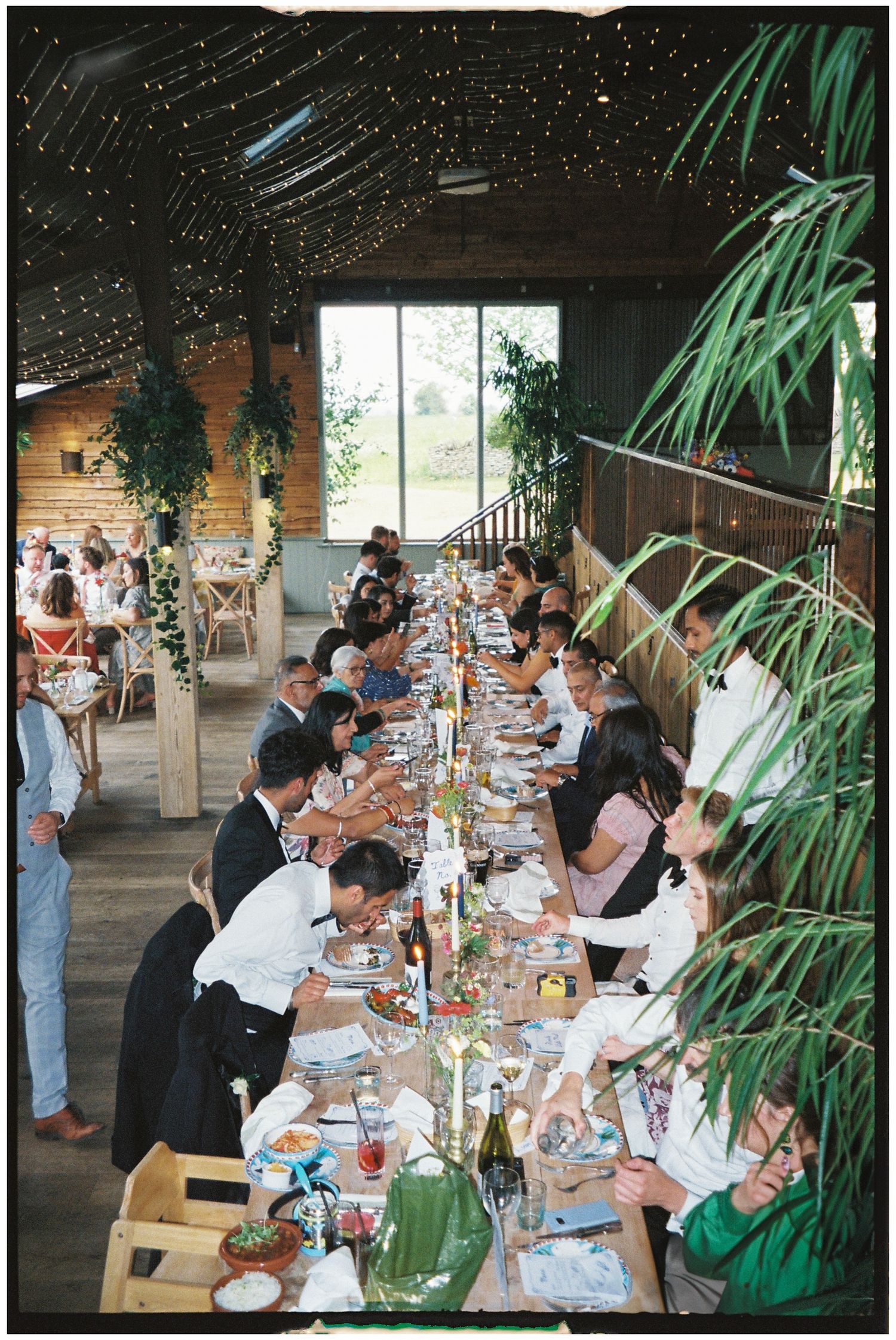 Long reception table with guests dining under hanging plants in a rustic venue.
