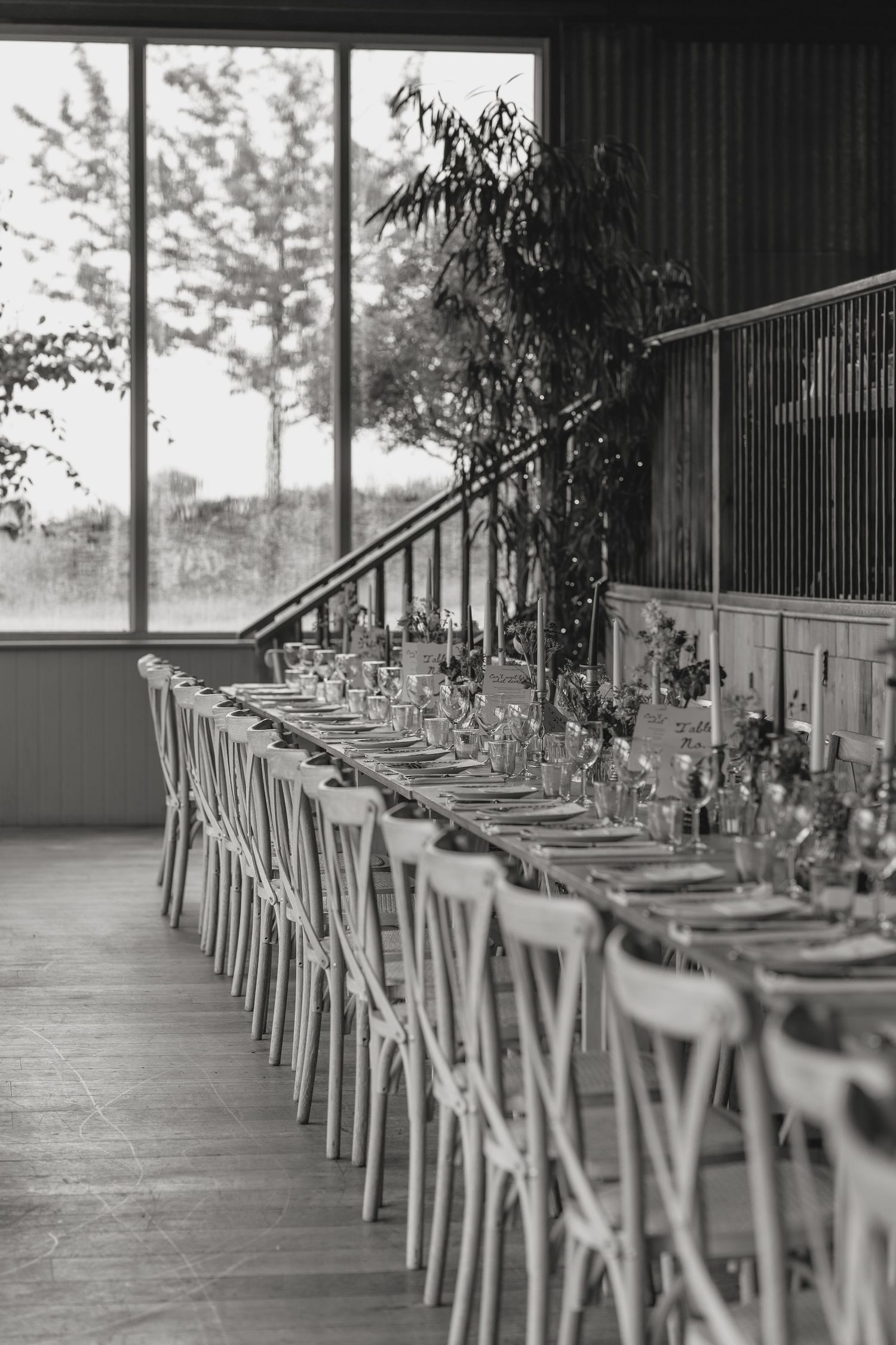 Long row of elegantly set dining tables with white chairs under natural lighting.
