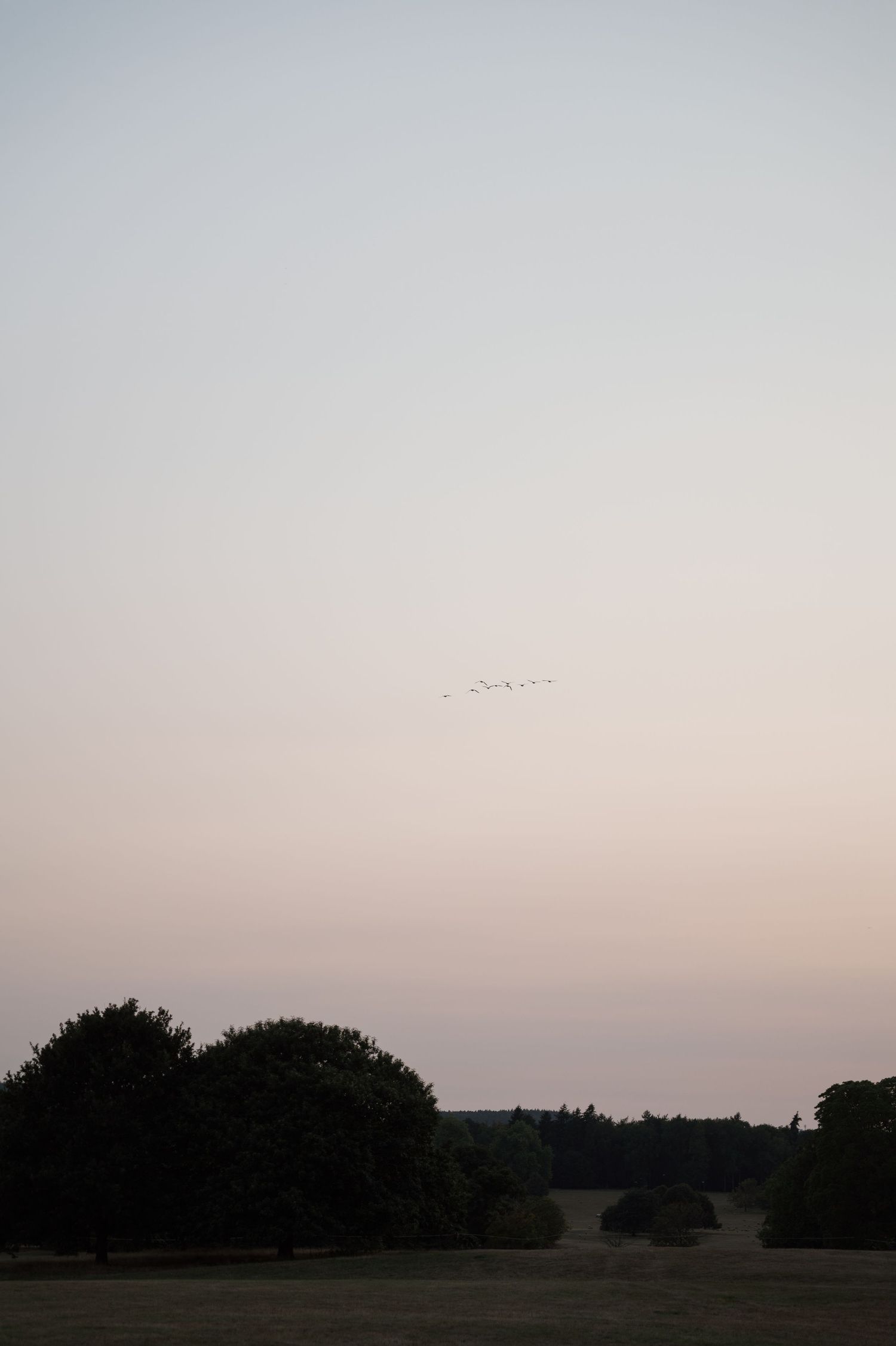 Scenic twilight landscape showing silhouetted trees against a pastel sunset sky.
