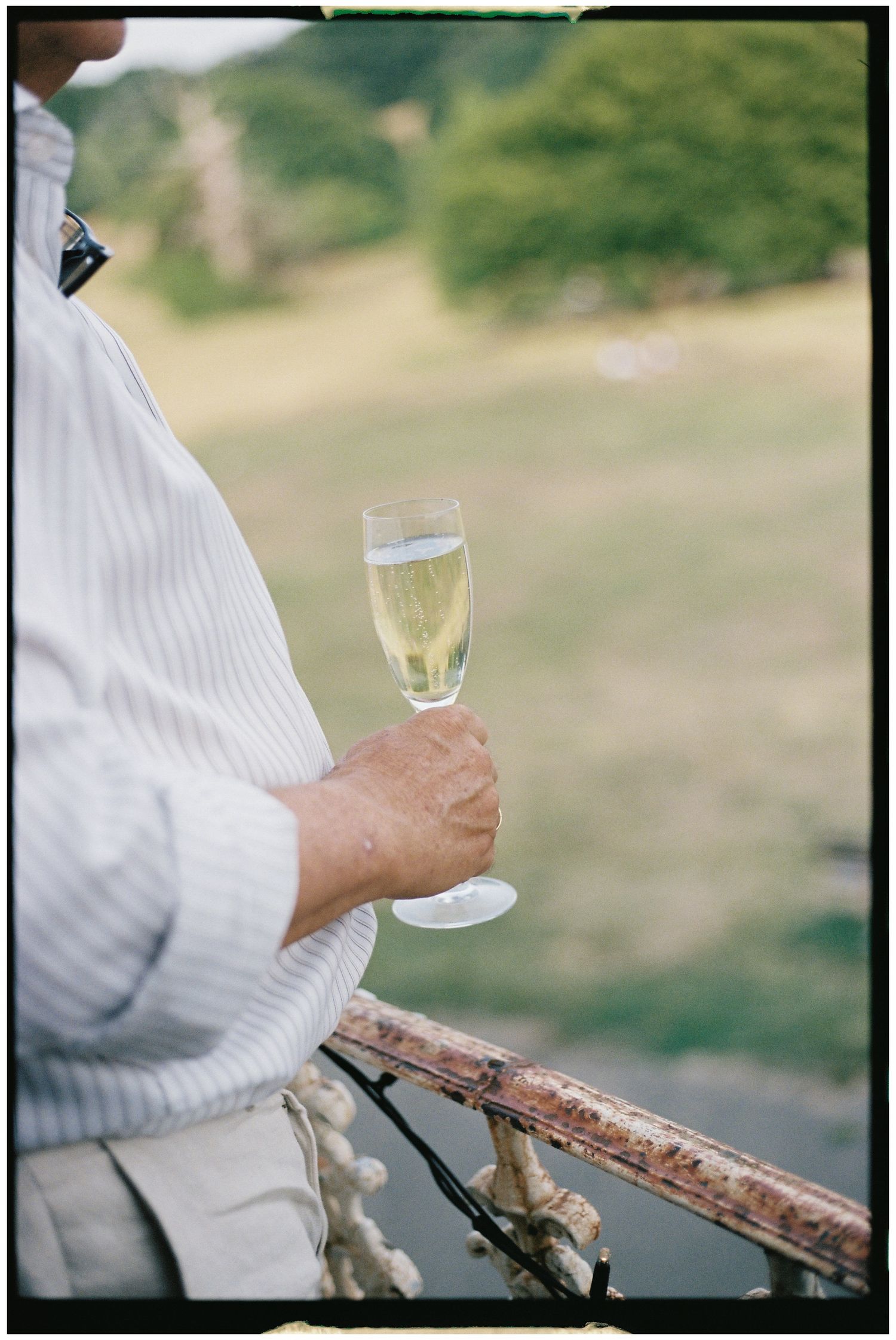 A series of cropped photos showing hands holding champagne glasses outdoors.