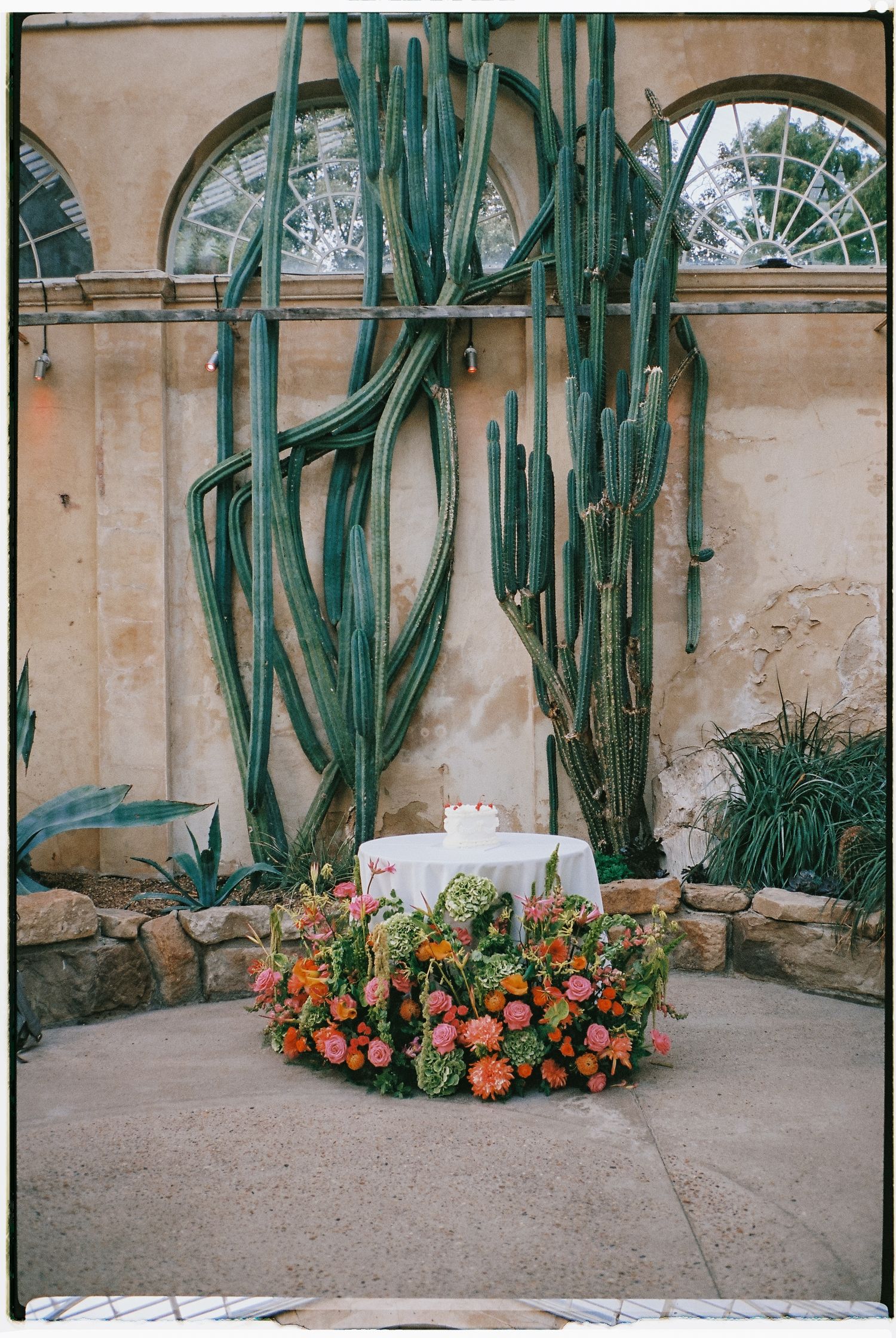 A decorated round table with vibrant orange and pink floral arrangements sits before towering cacti in a greenhouse venue.