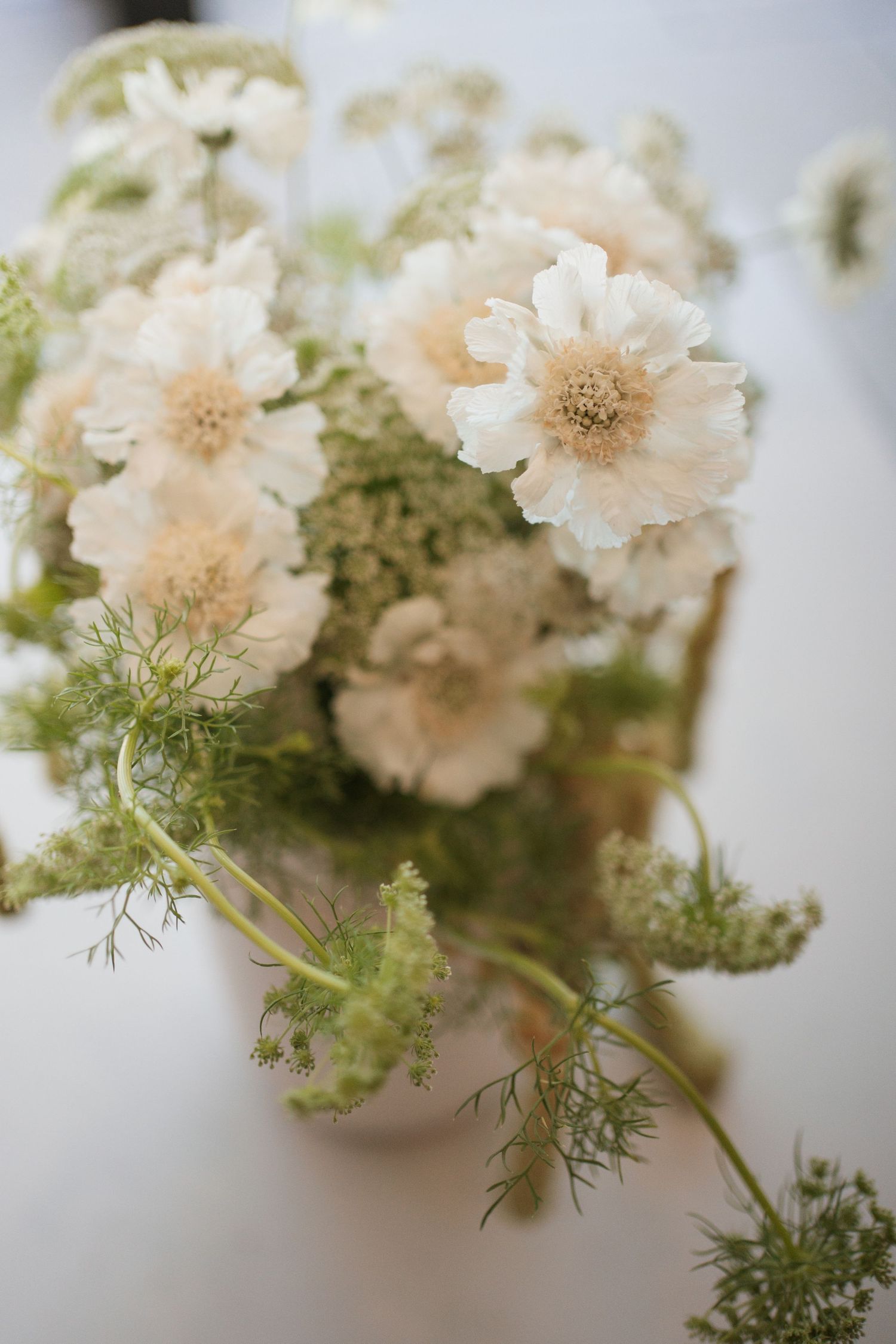 Delicate white flowers with soft petals arranged in a vase with wispy greenery.