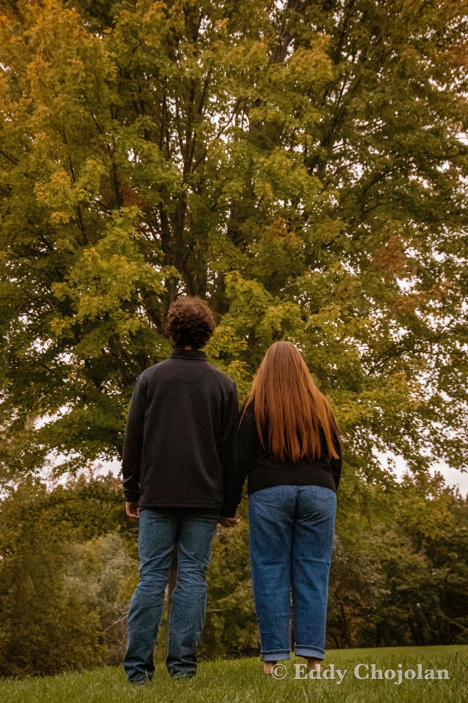 A couple stands together looking up at autumn trees in a park.