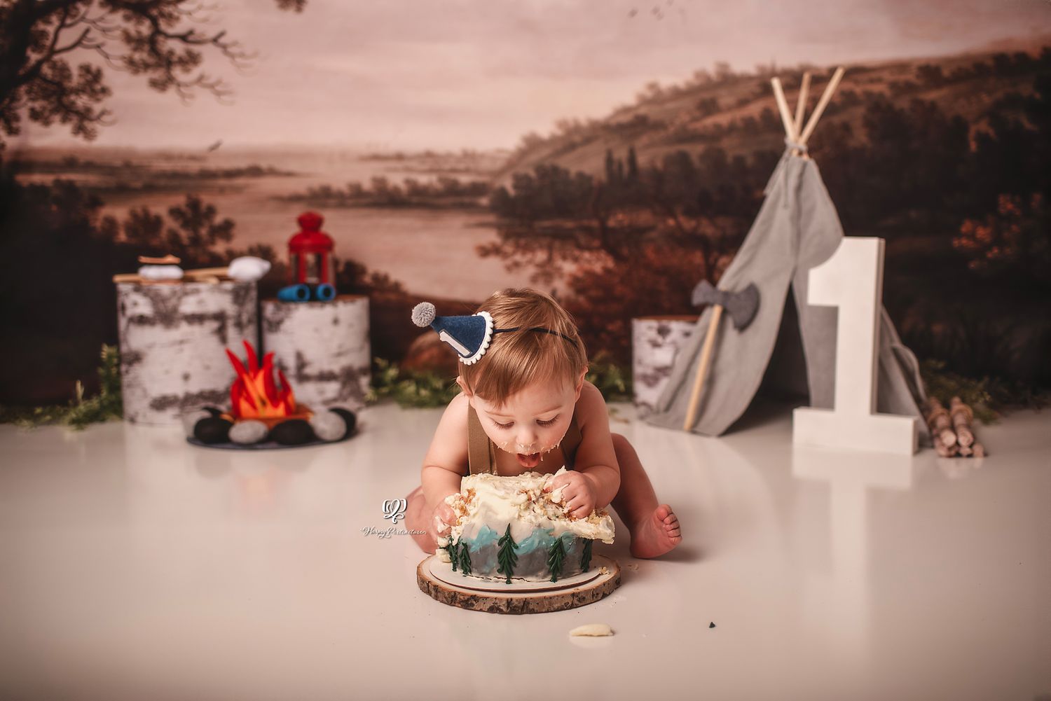 Cake Smash photographer Lexington, SC; first birthday photoshoot Lexington, SC; camping baby boy birthday photos