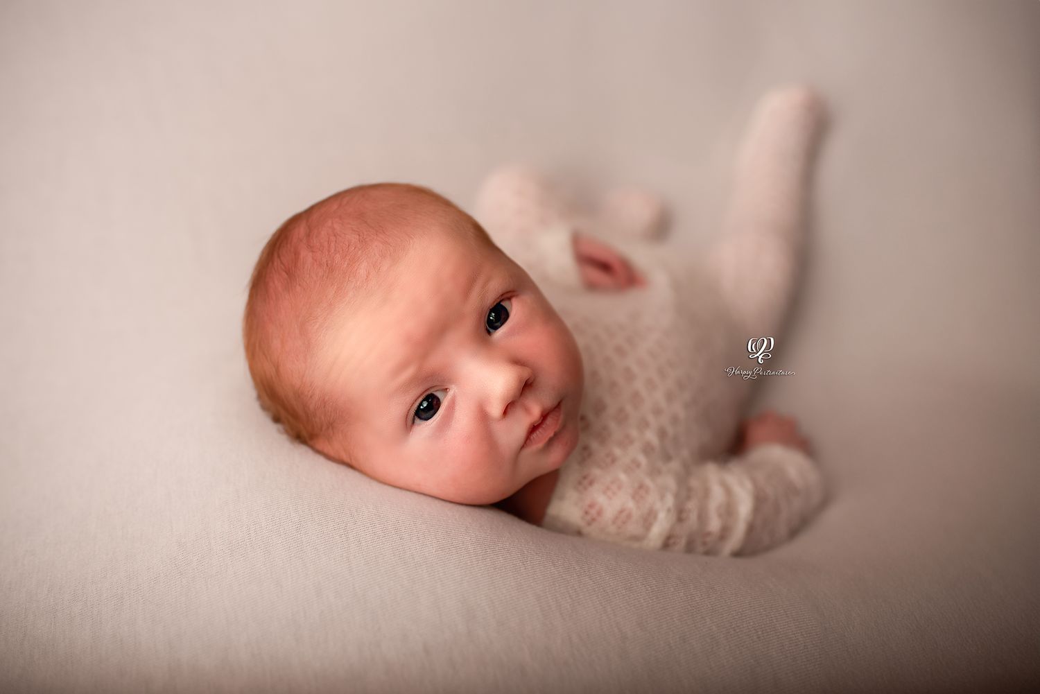 Neutral colored newborn portrait of baby boy posed on back looking at the camera; best newborn photographer Lexington, S