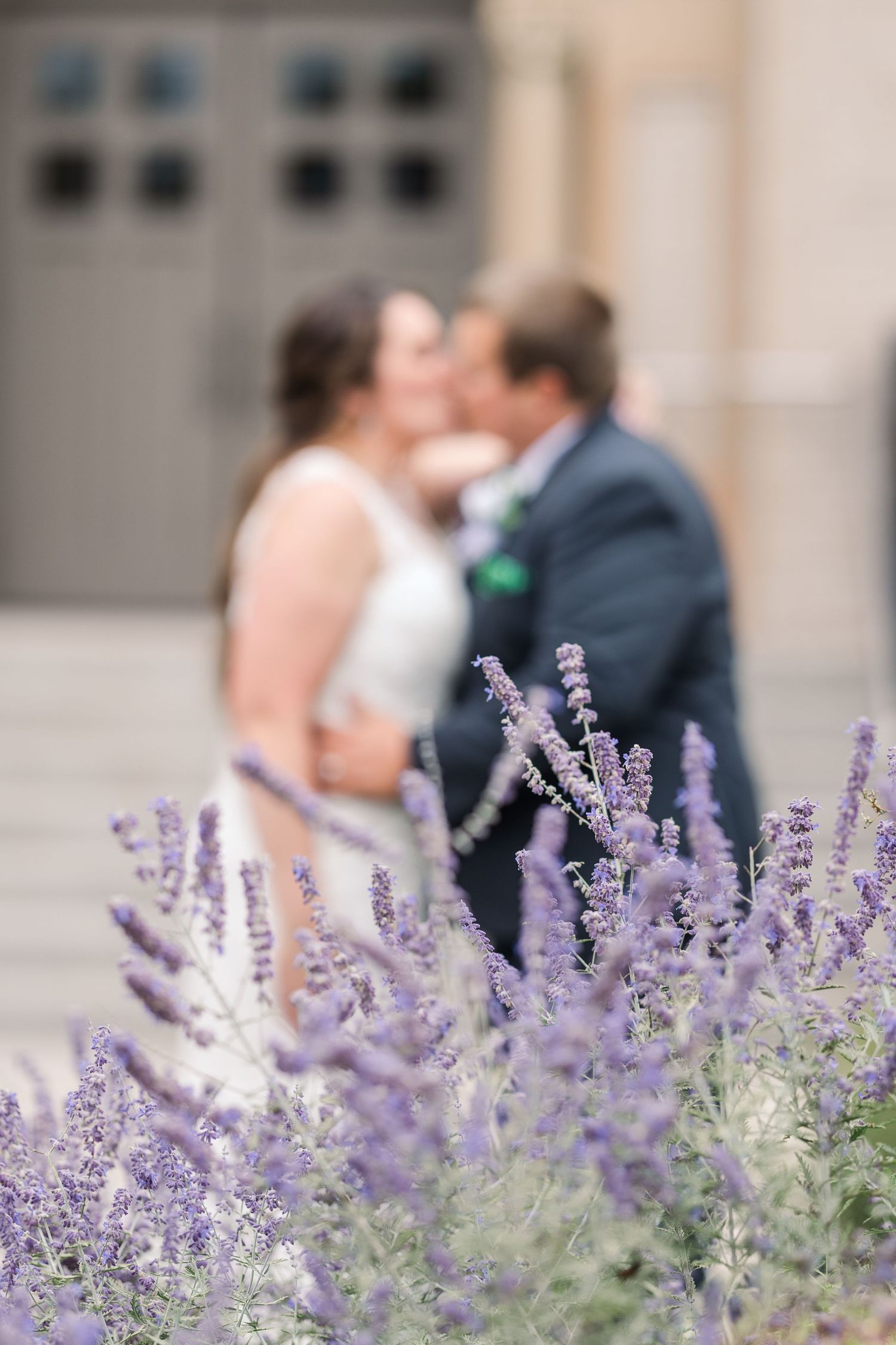 A newlywed couple shares a kiss behind blooming purple lavender flowers.