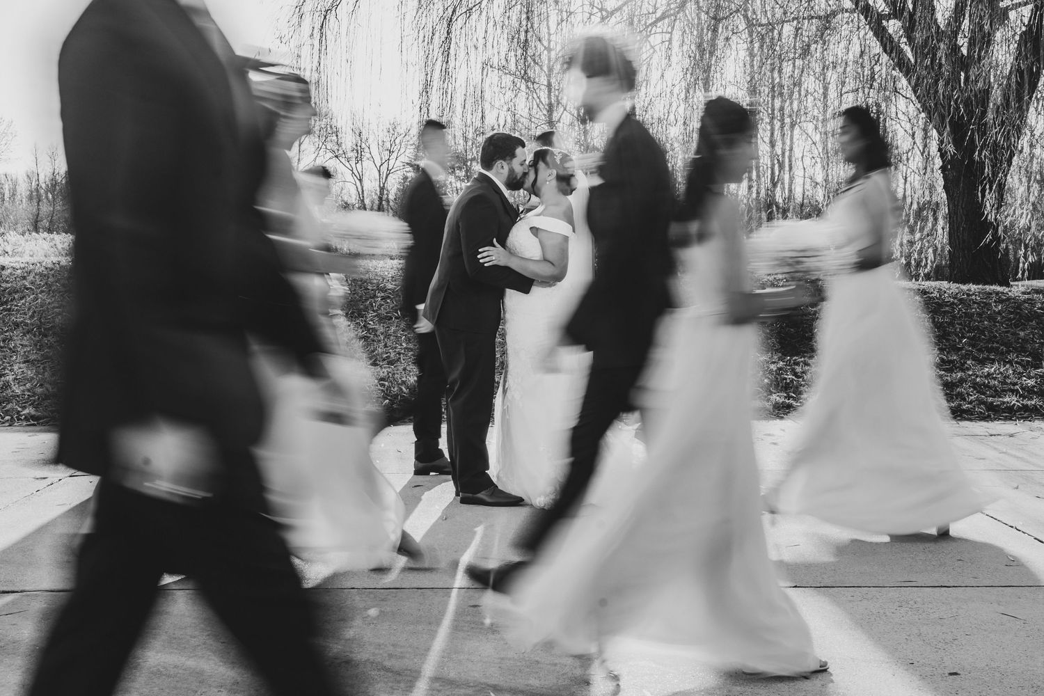 Motion-blurred wedding party walking in a line under weeping willow trees.