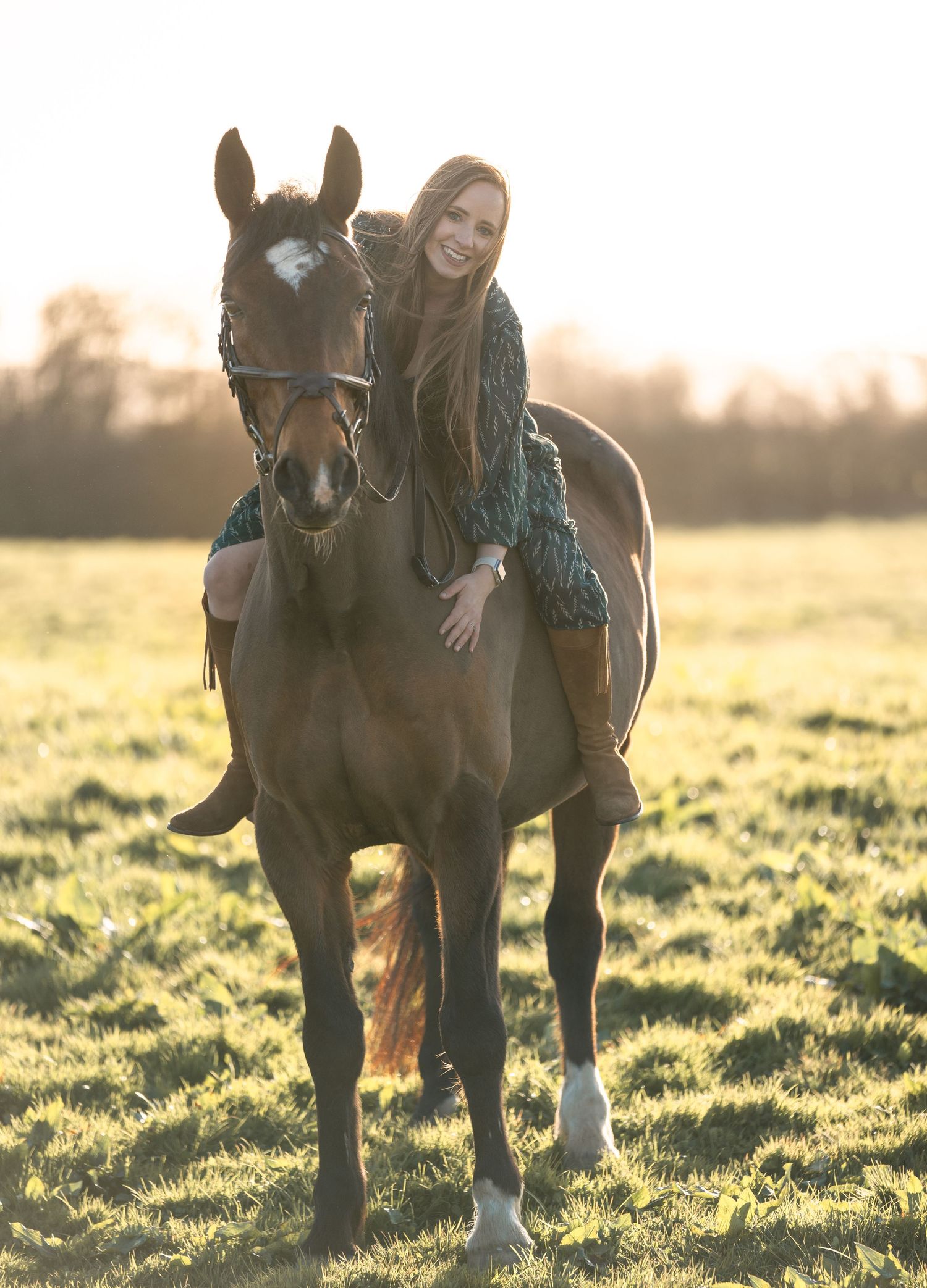 A brown horse and person share a tender moment in a sunlit meadow at golden hour.
