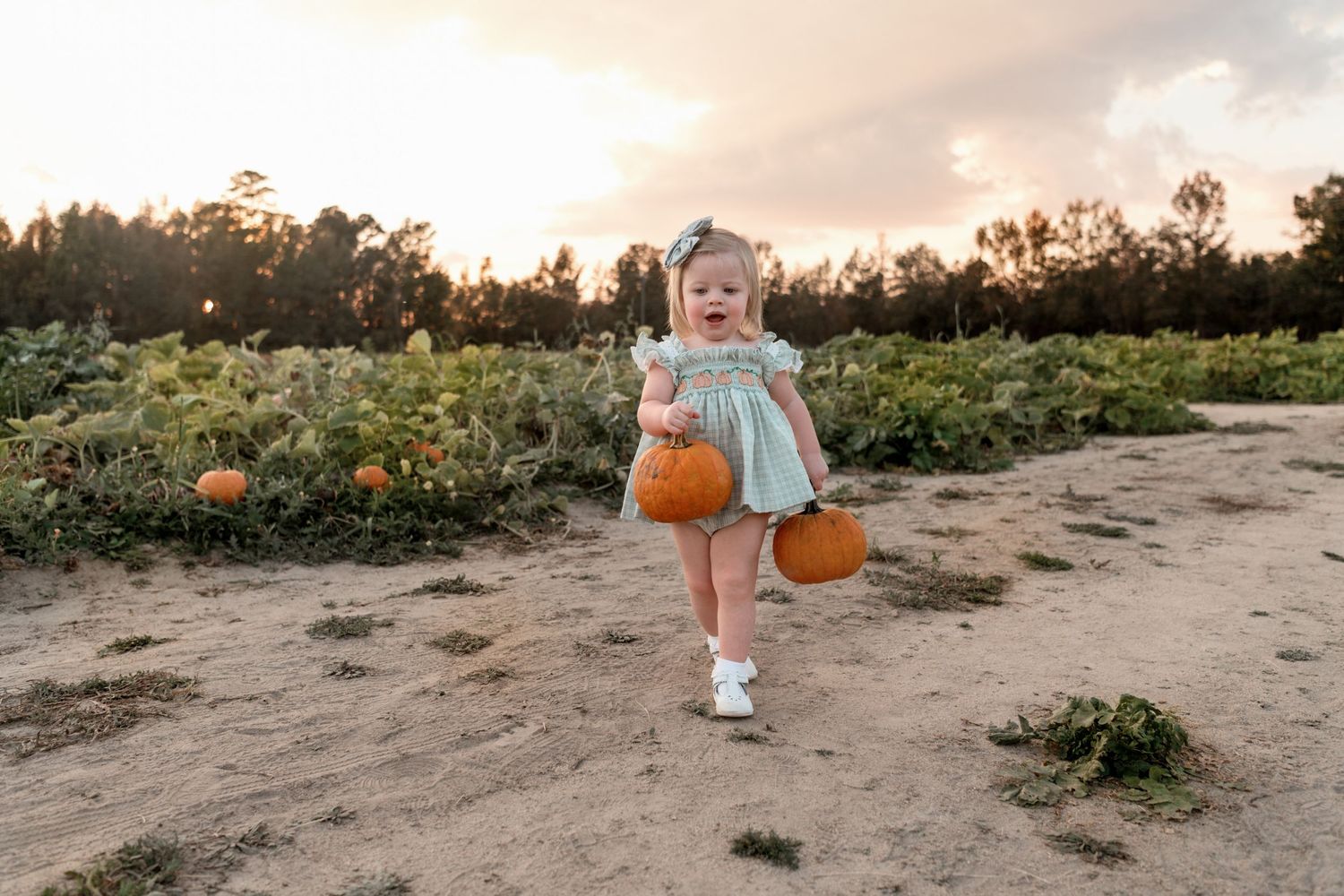 pumpkin patch mini sessions near florence, sc at bay branch farms