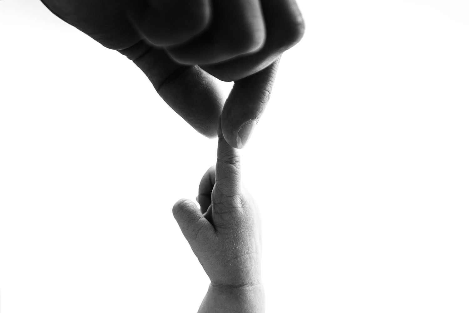 Black and white photo of an adult finger touching a tiny baby finger in a tender, loving connection.