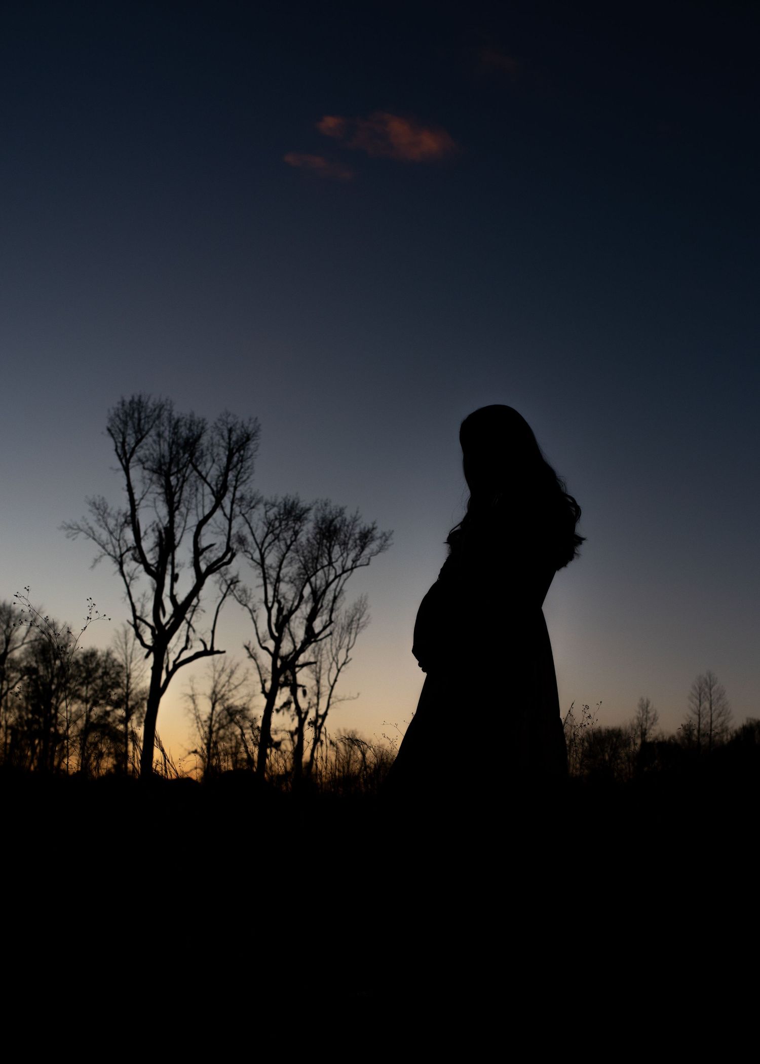 Dramatic silhouettes against sunset sky with bare trees in background.