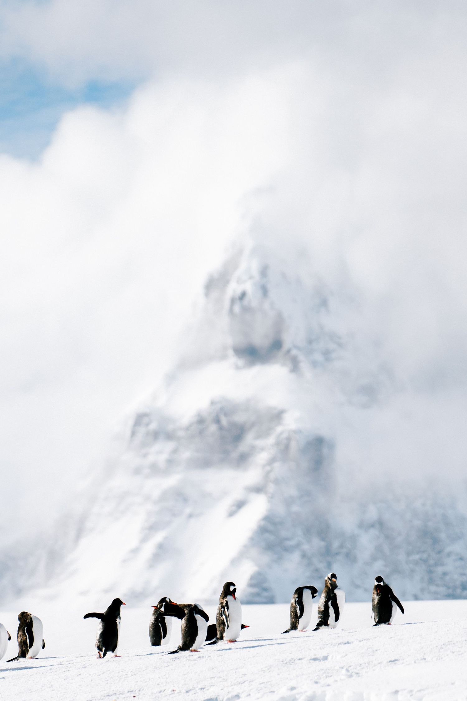 Group of penguins waddling across snowy terrain beneath a towering mountain peak.
